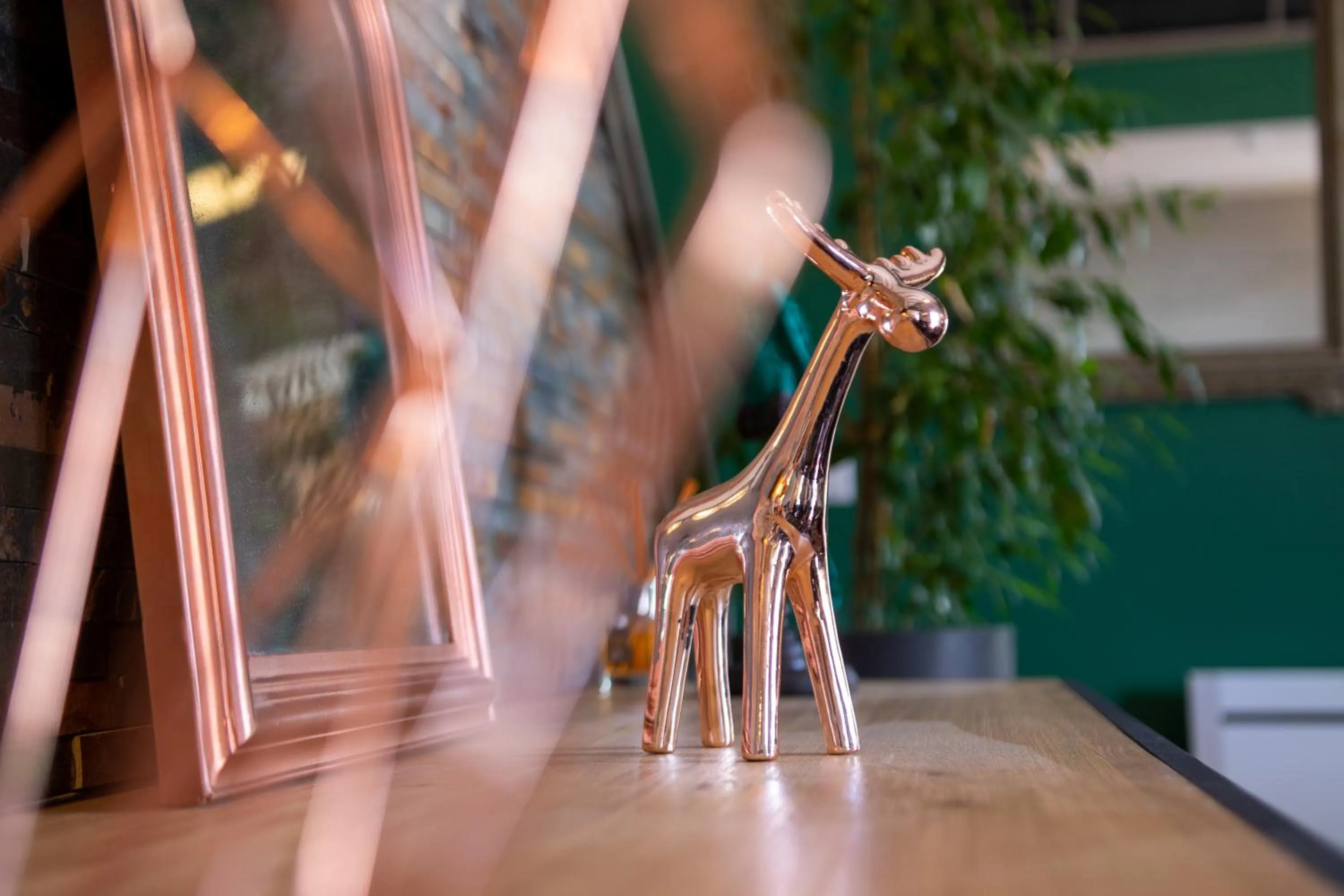 Other in L'Alpen Roc