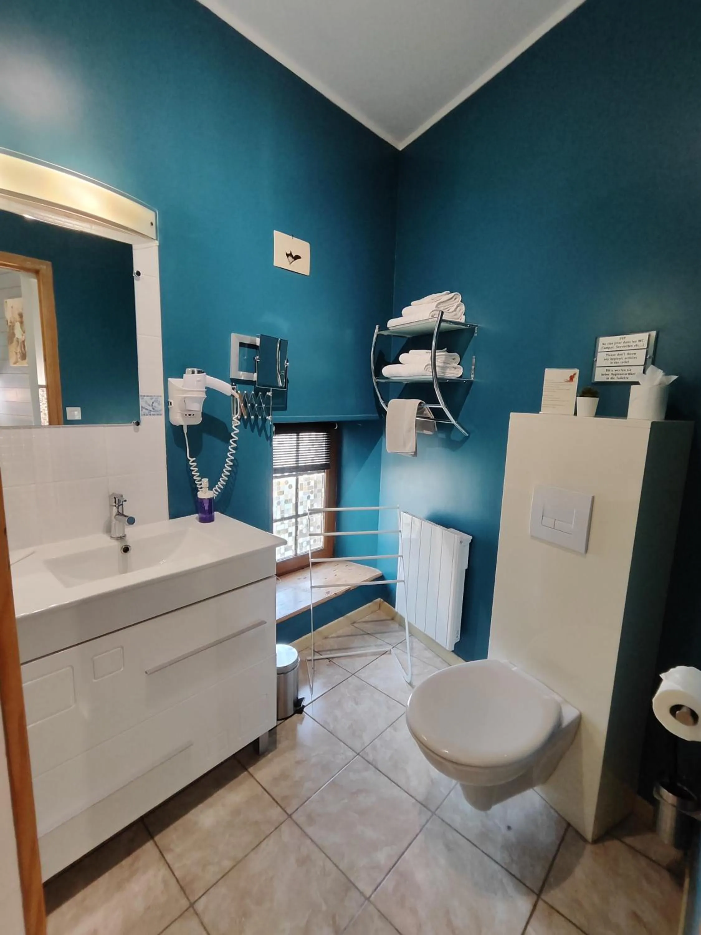 Shower in La ferme aux chats