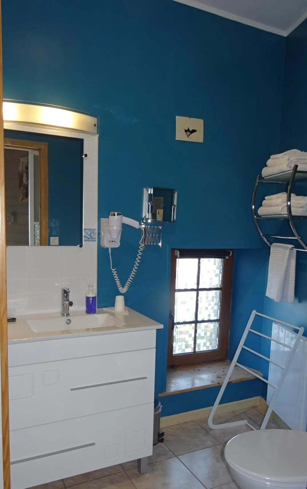 Shower in La ferme aux chats