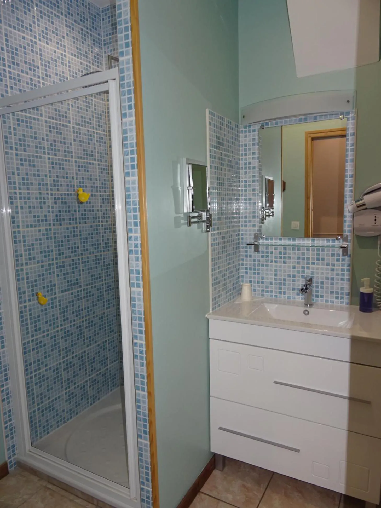 Shower in La ferme aux chats