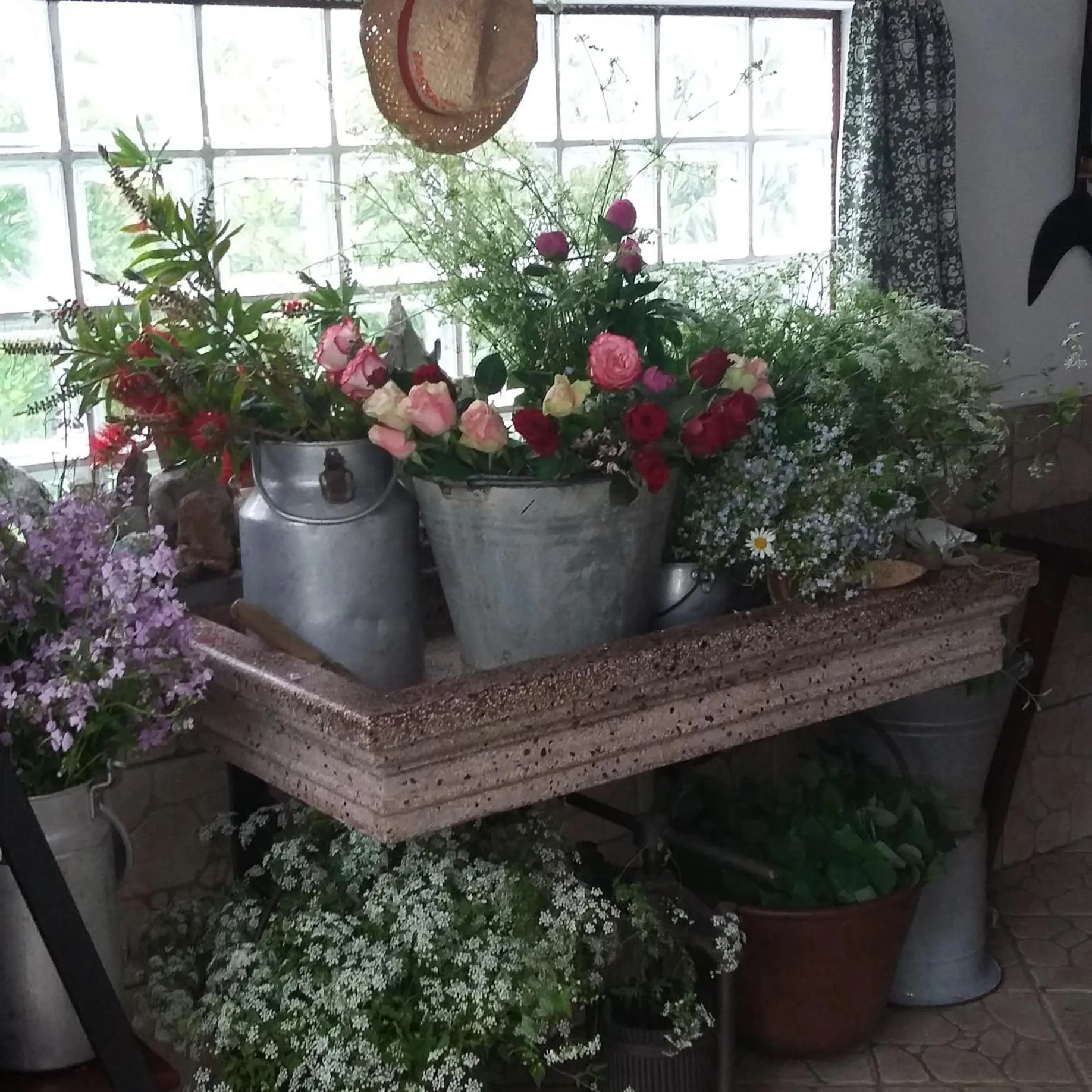 B&B SCACCIA PENSIERI