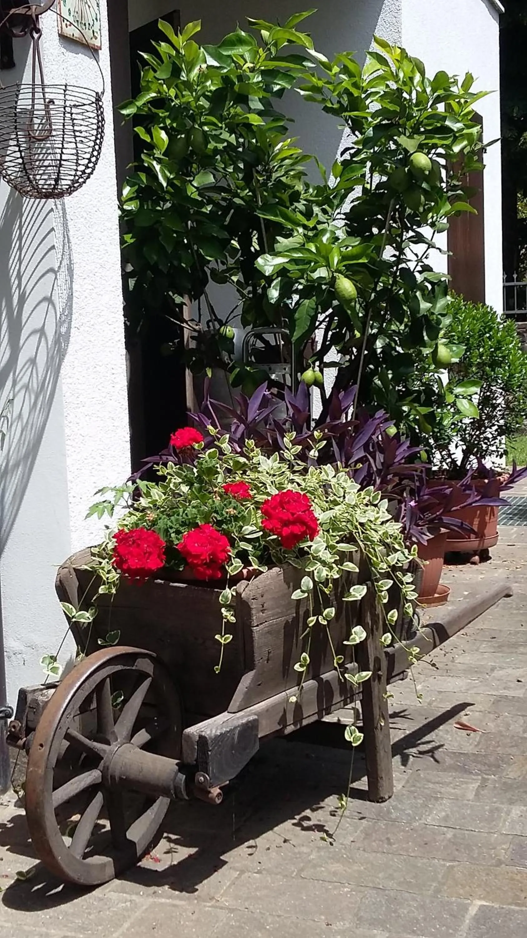 B&B SCACCIA PENSIERI