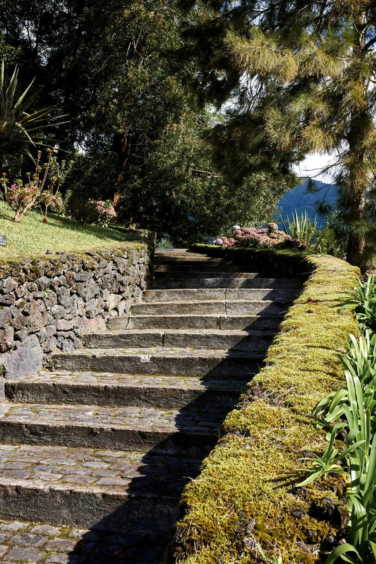 Location in Octant Furnas