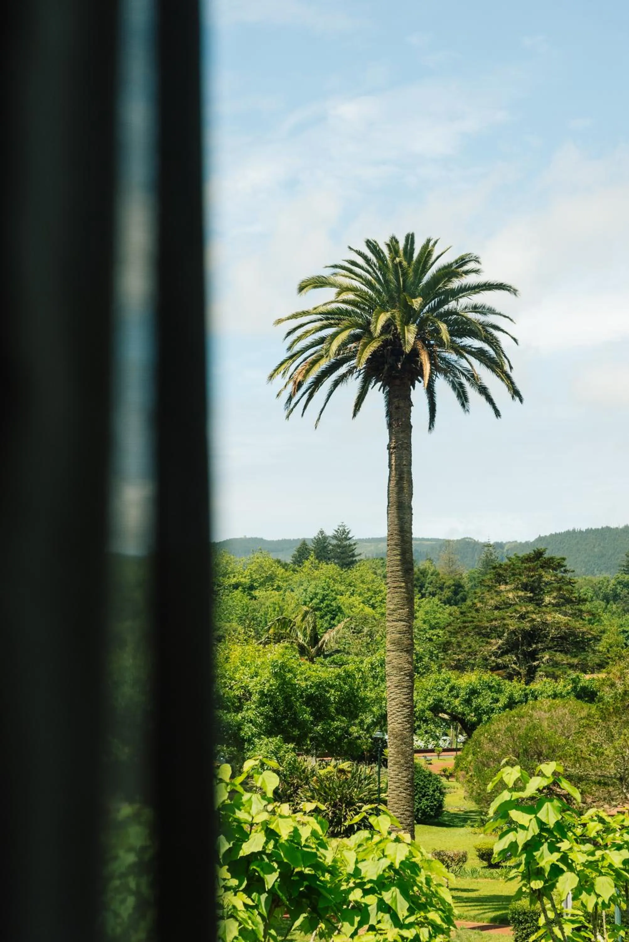 Natural landscape in Octant Furnas