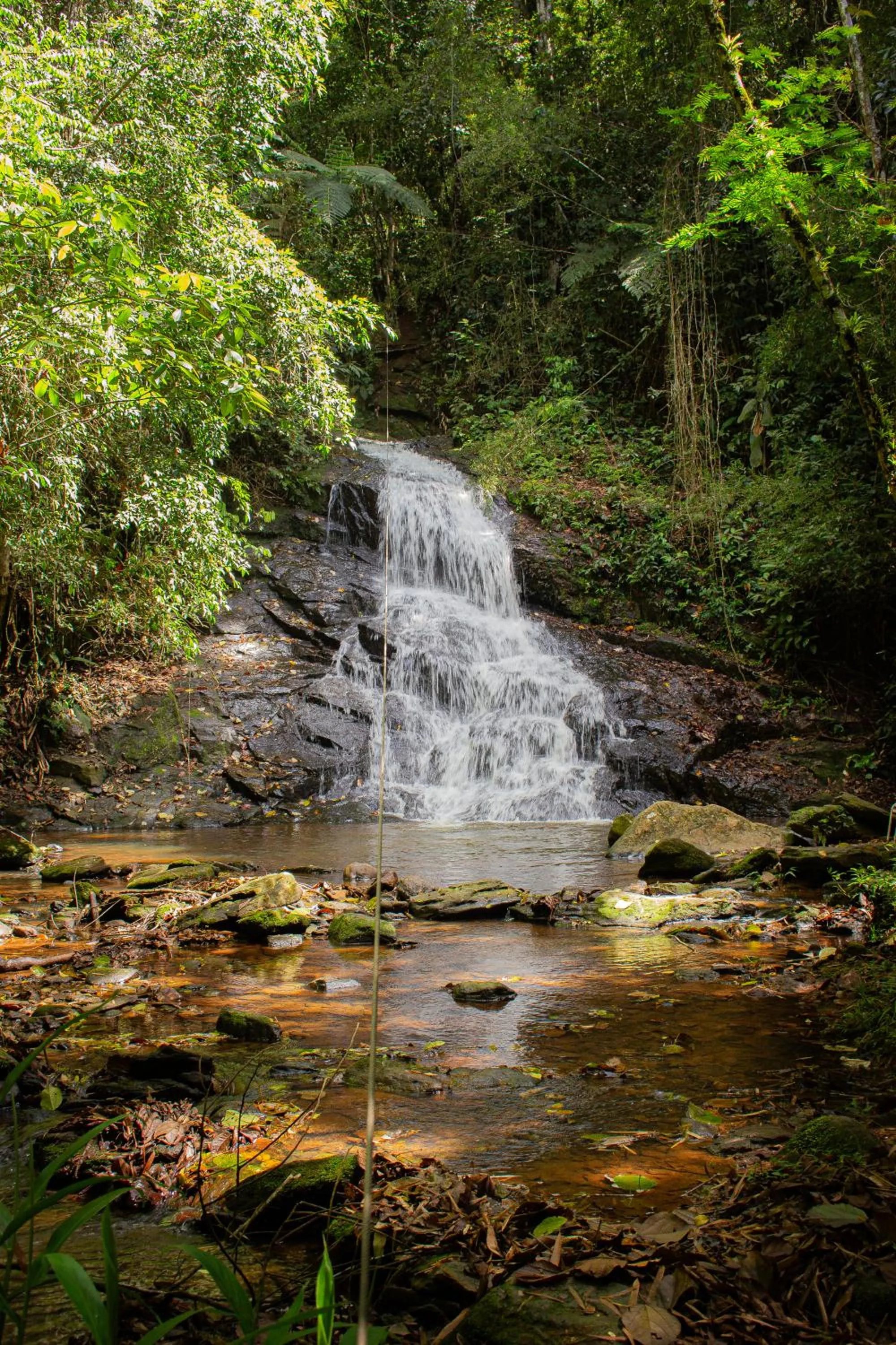 Natural landscape in Hotel Fazenda Pé da Serra