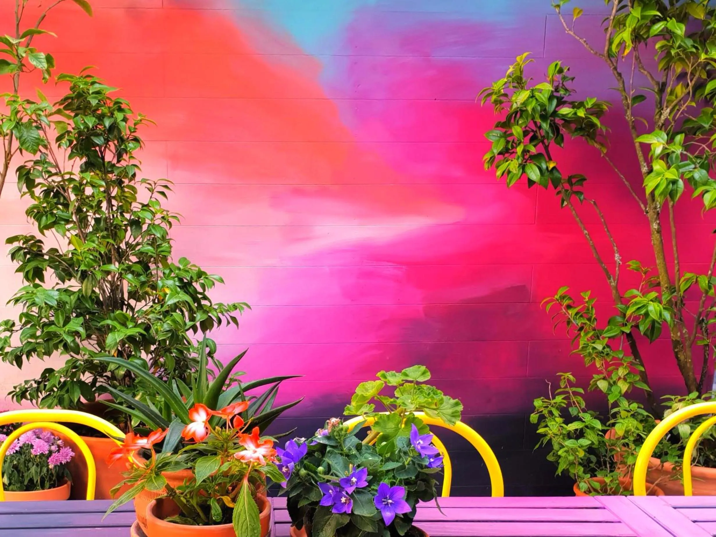 Patio in SUPERNOVA Hostel