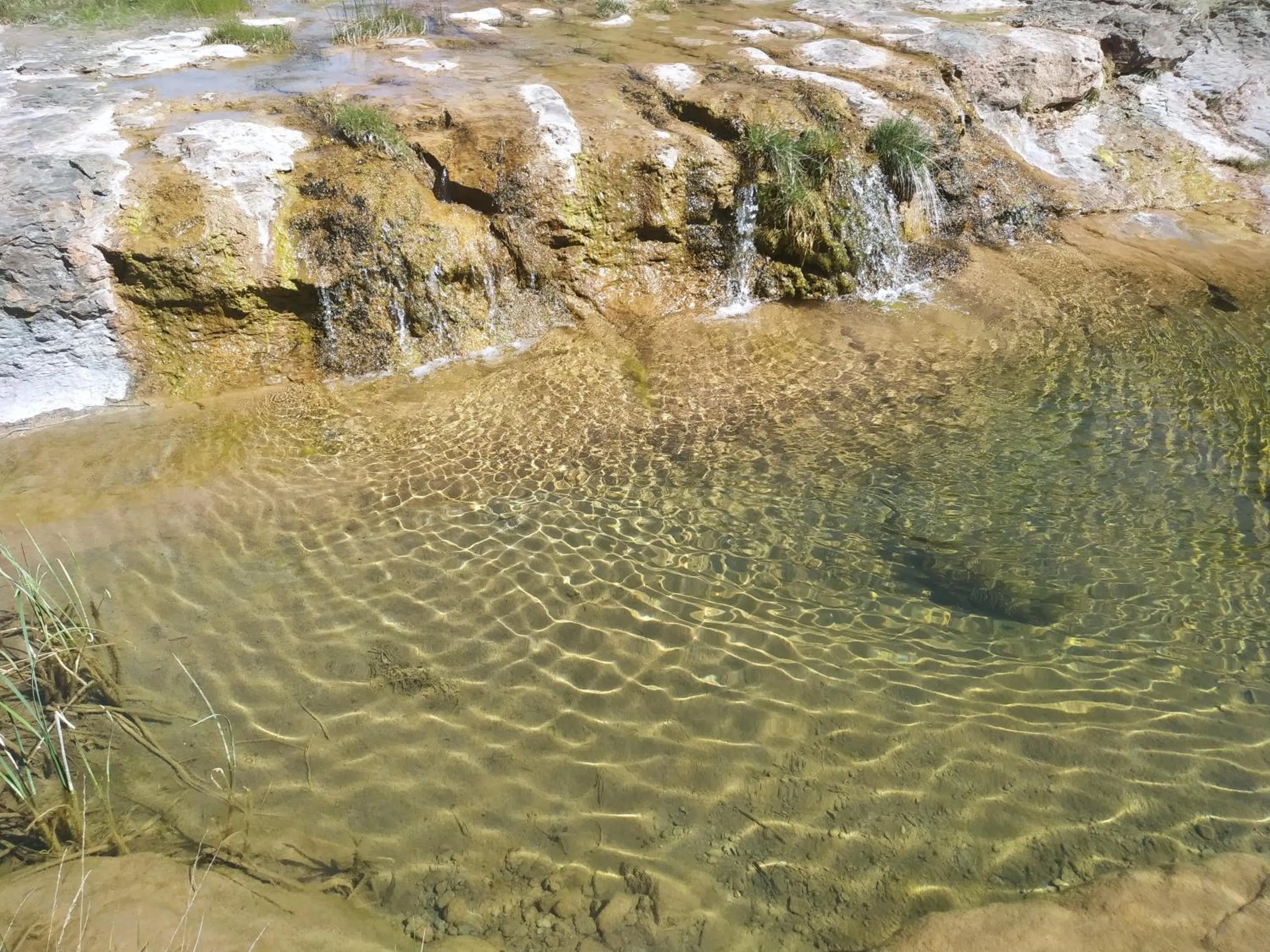 Natural landscape in Hotel Rural Curia