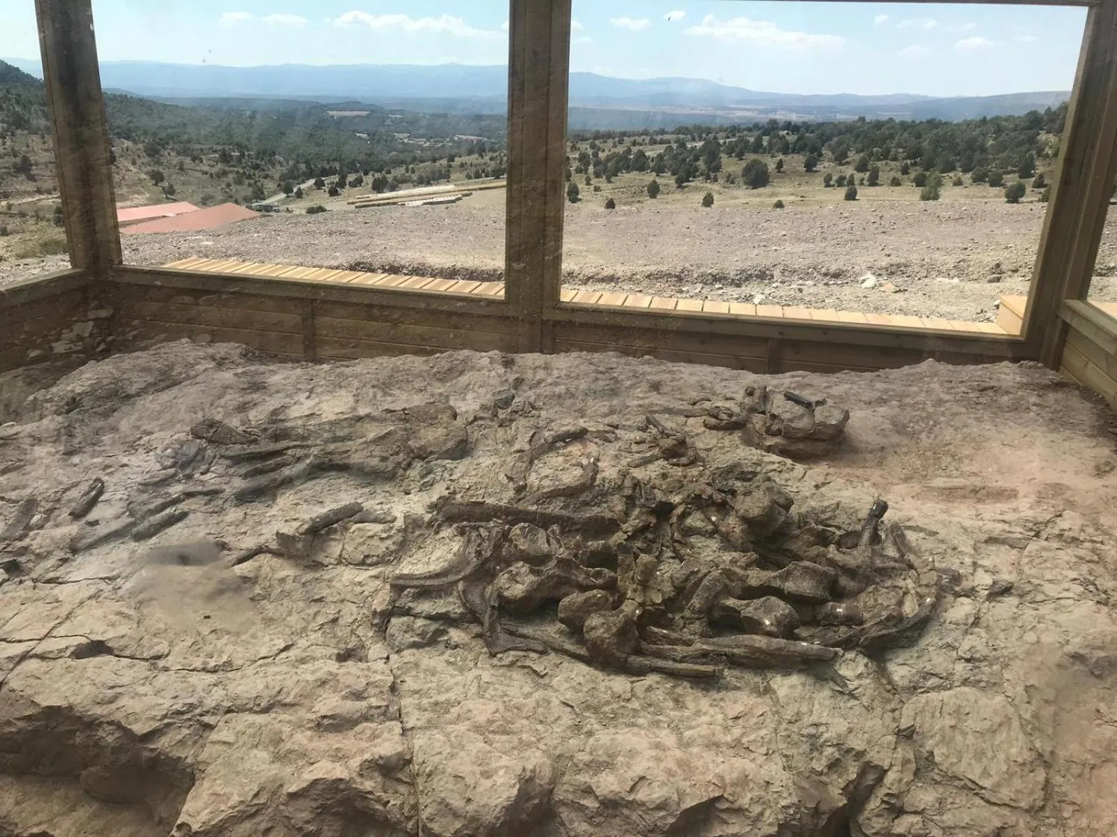 Activities in Hotel Rural Curia