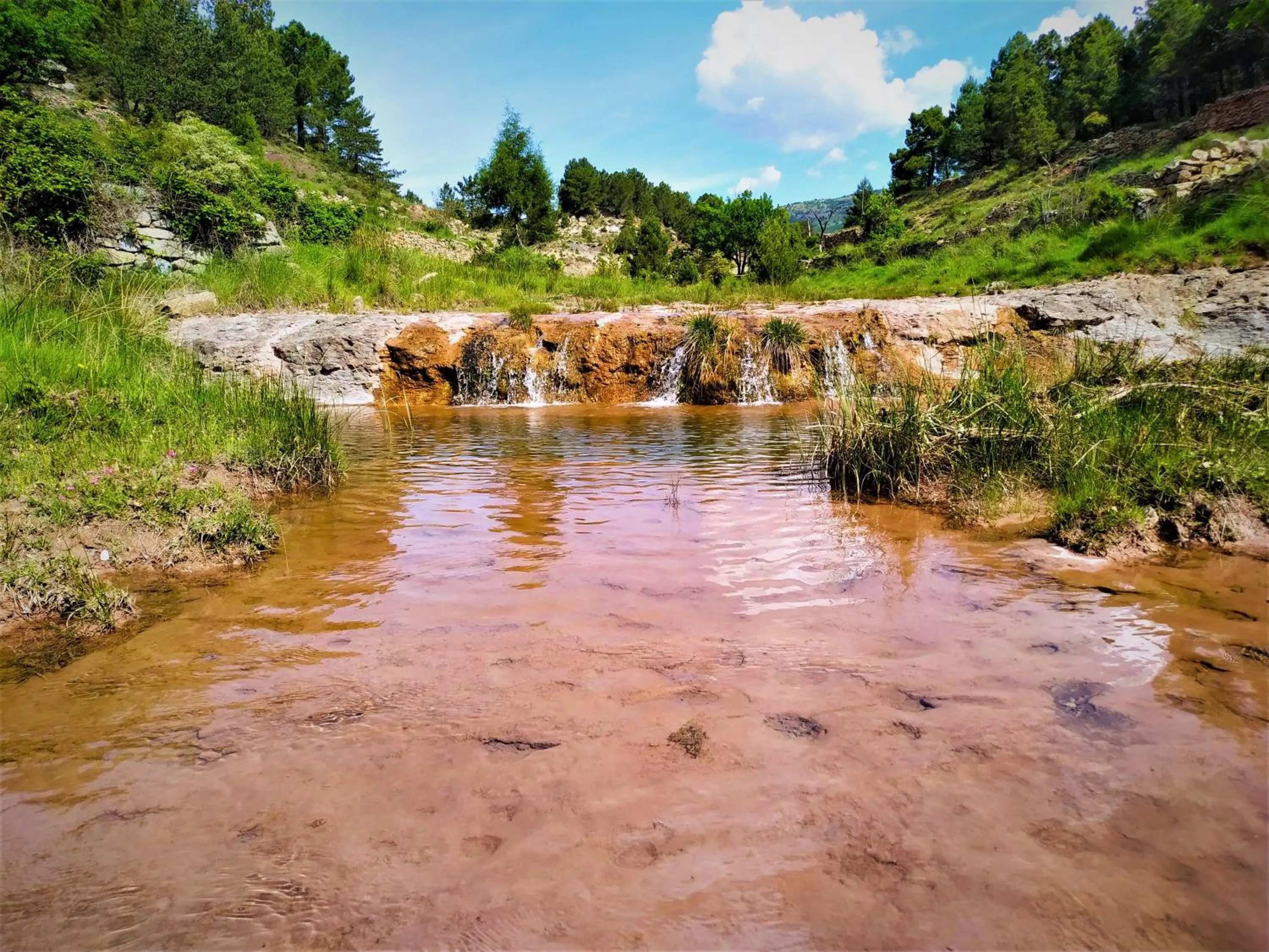 Natural landscape in Hotel Rural Curia
