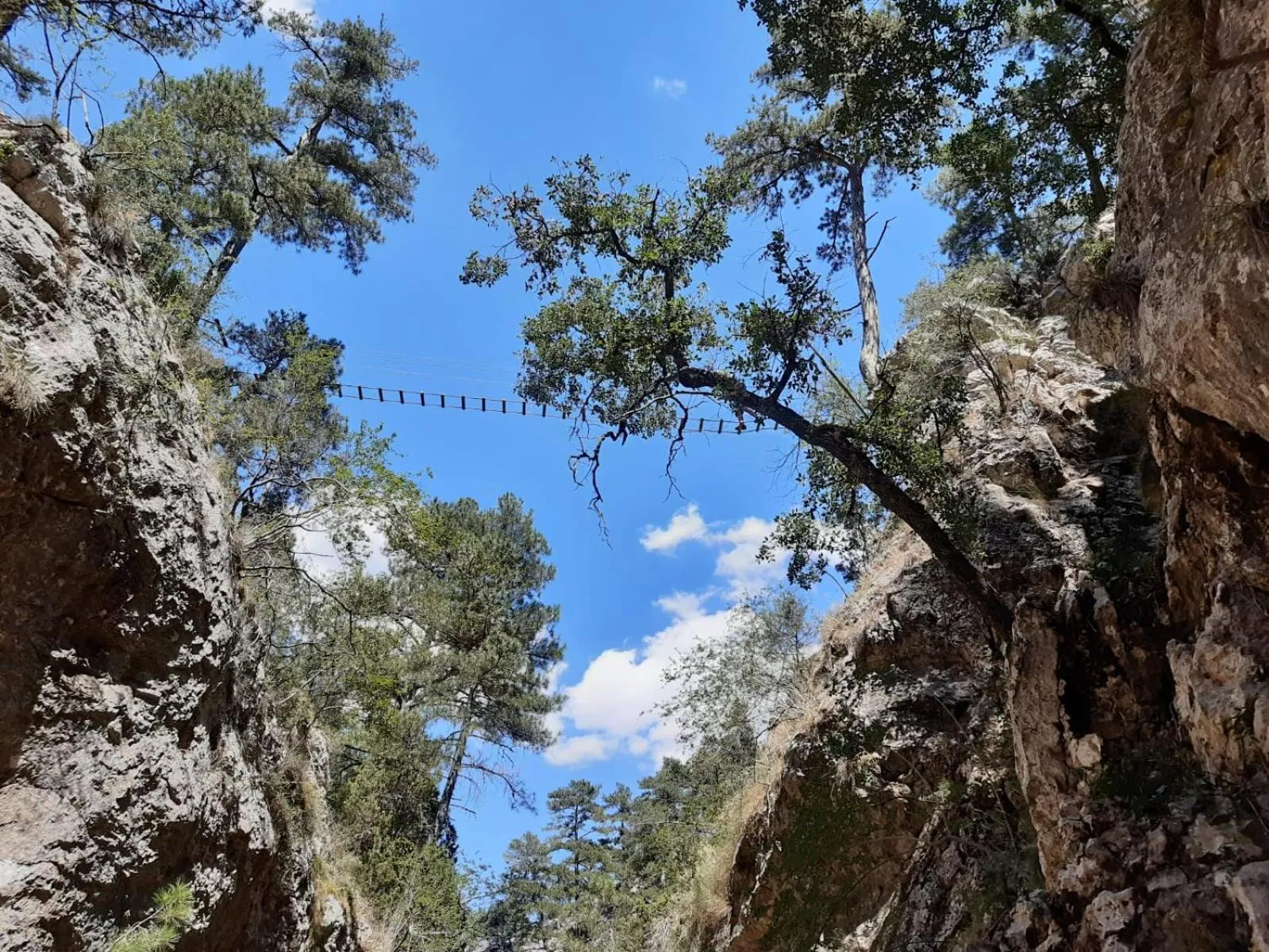 Natural landscape in Hotel Rural Curia