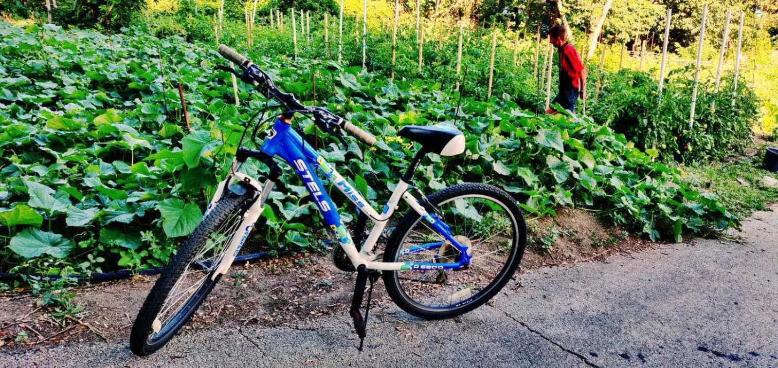 International House of Journalists Resort