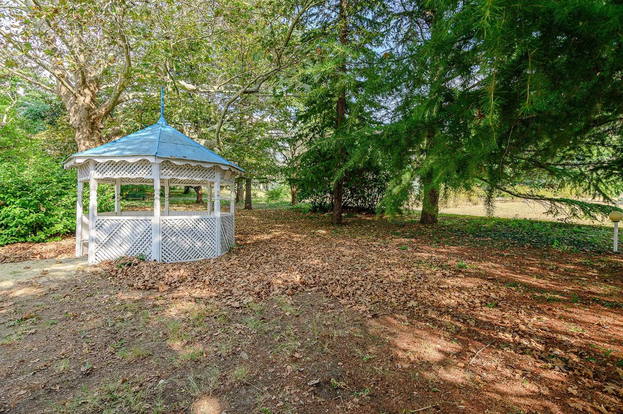 Natural landscape in International House of Journalists Resort