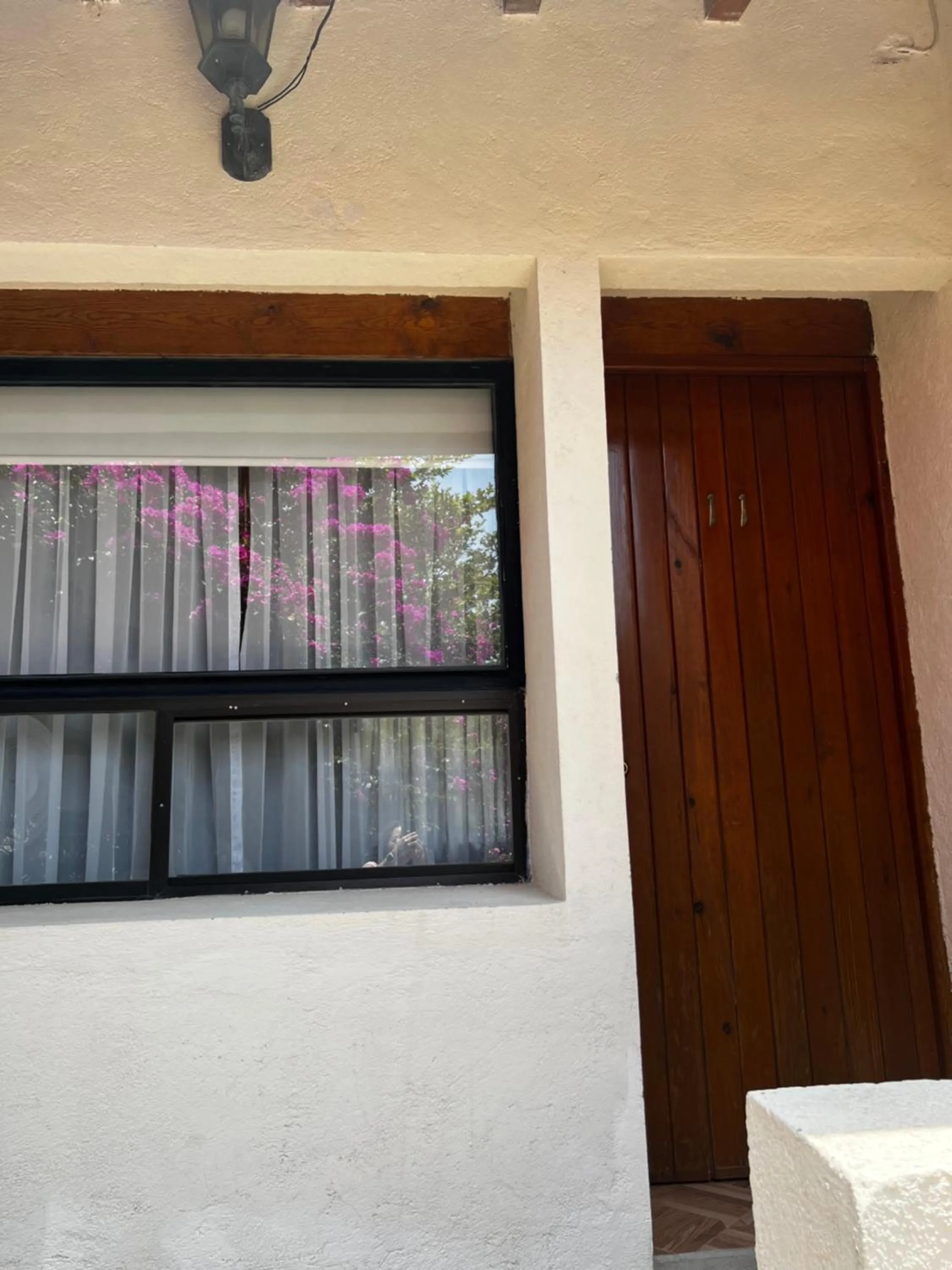 Other in Casa Bugambilia, Un Pequeño Hotel en Tepoztlán