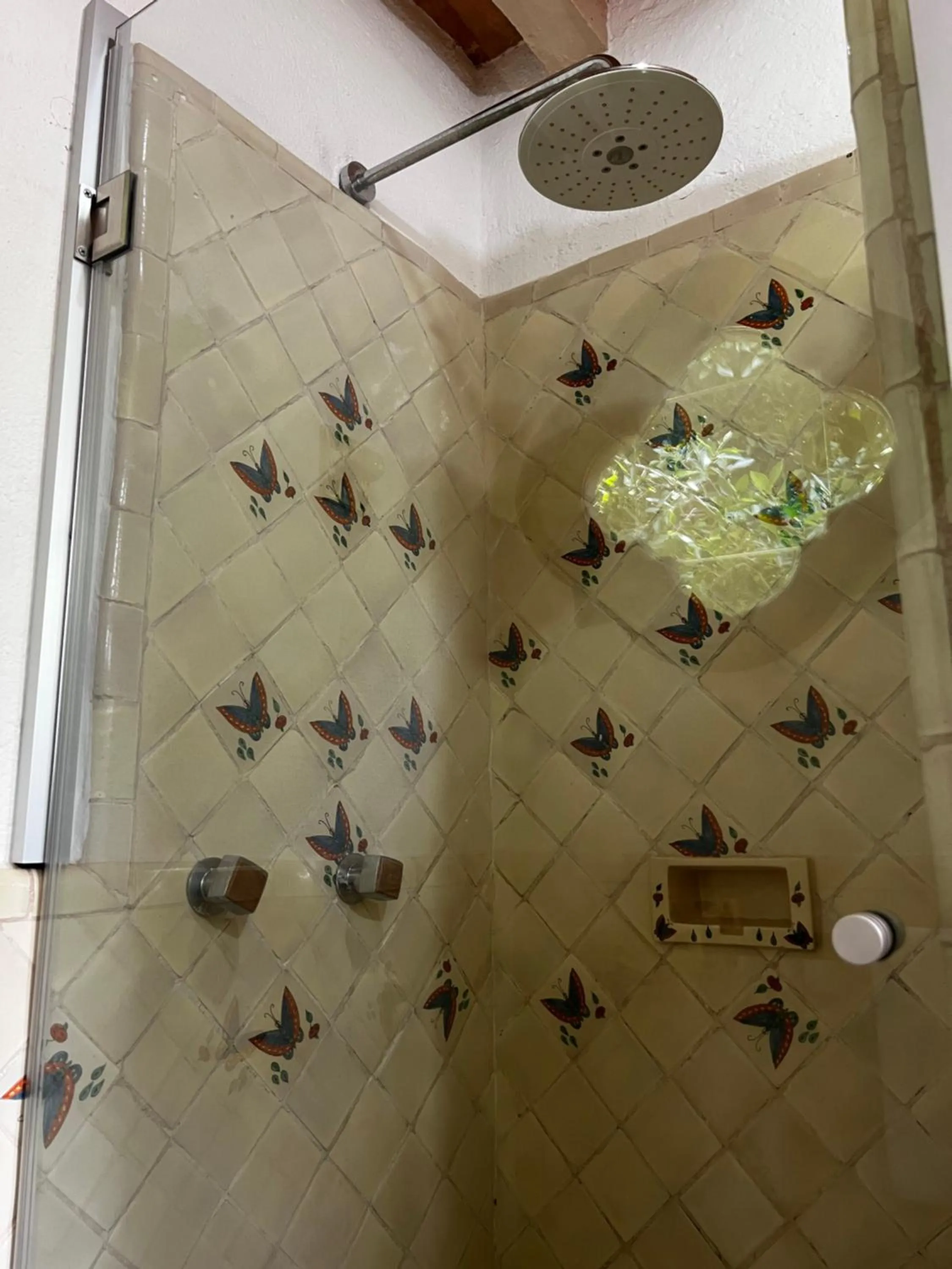 Shower in Casa Bugambilia, Un Pequeño Hotel en Tepoztlán