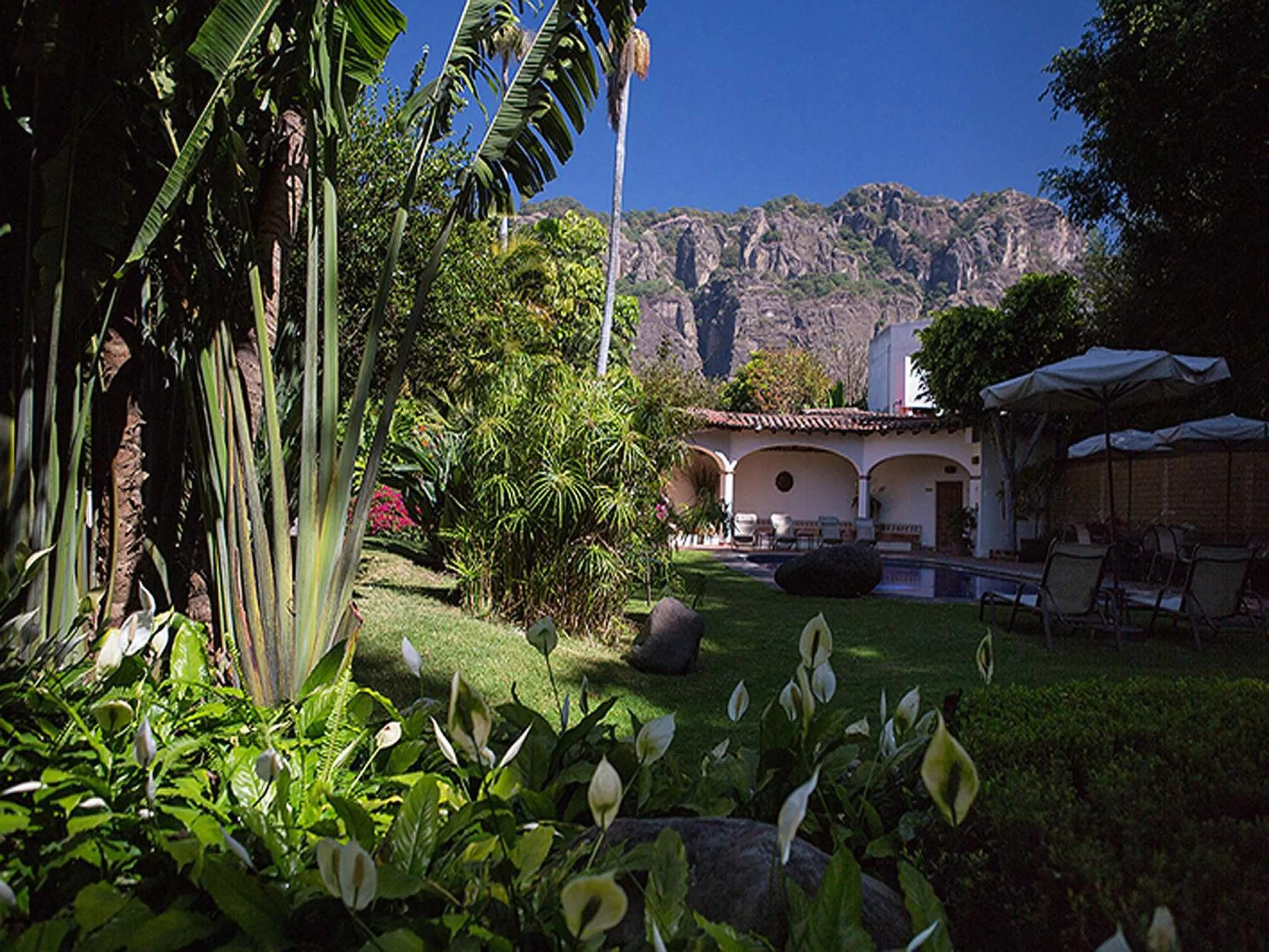 Garden in Casa Bugambilia, Un Pequeño Hotel en Tepoztlán