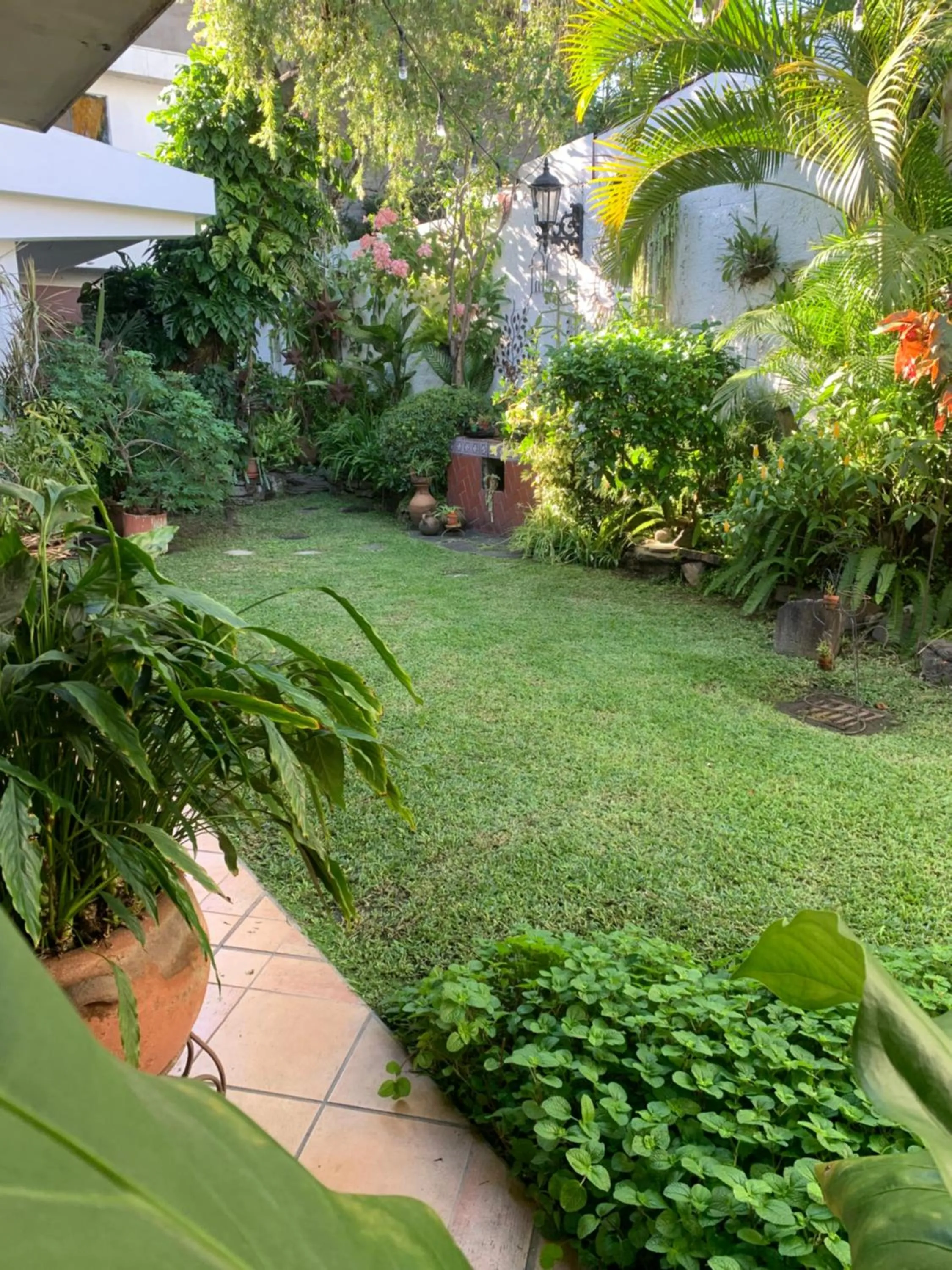 Spring in Hotel La Posada del Angel