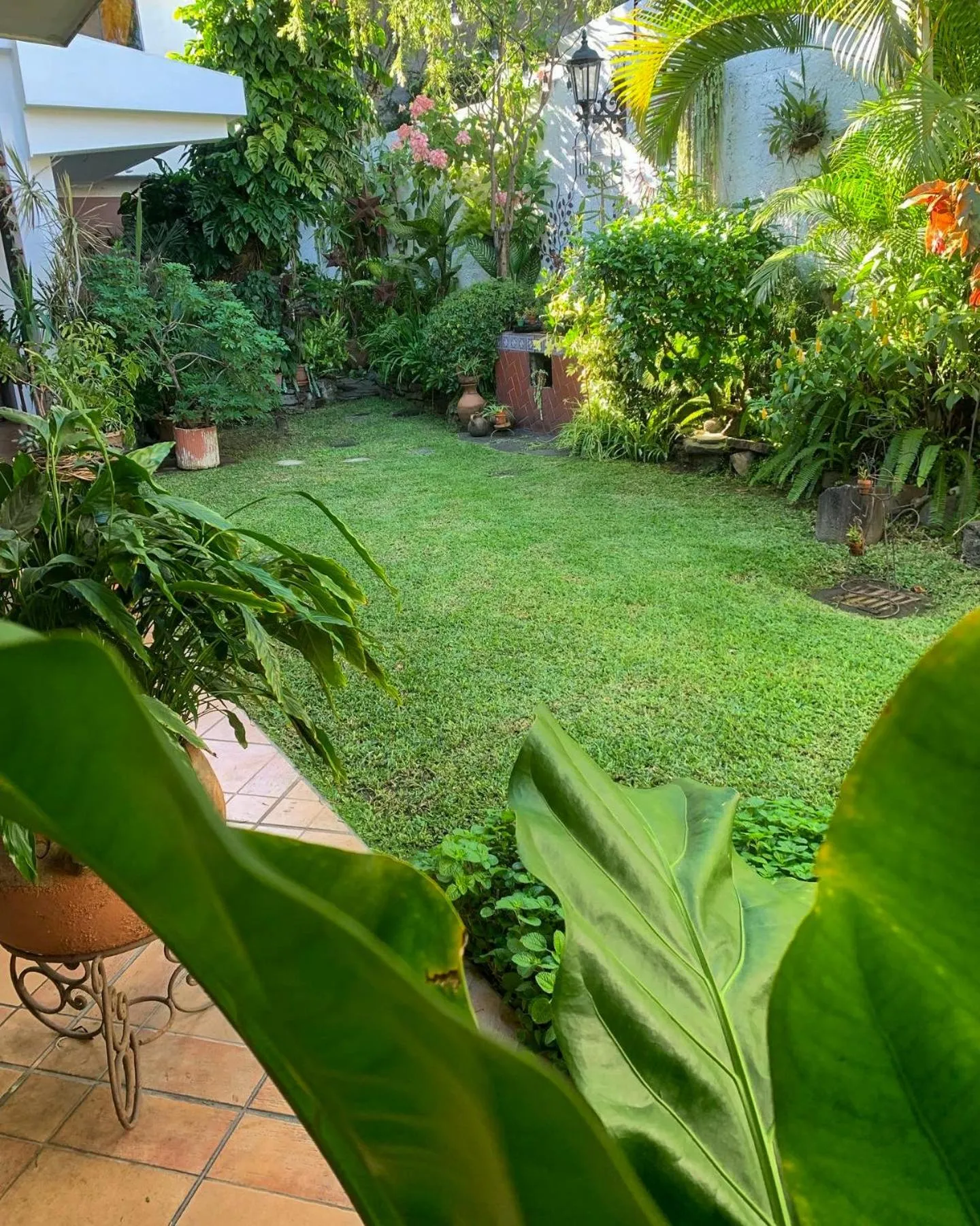 Garden view in Hotel La Posada del Angel