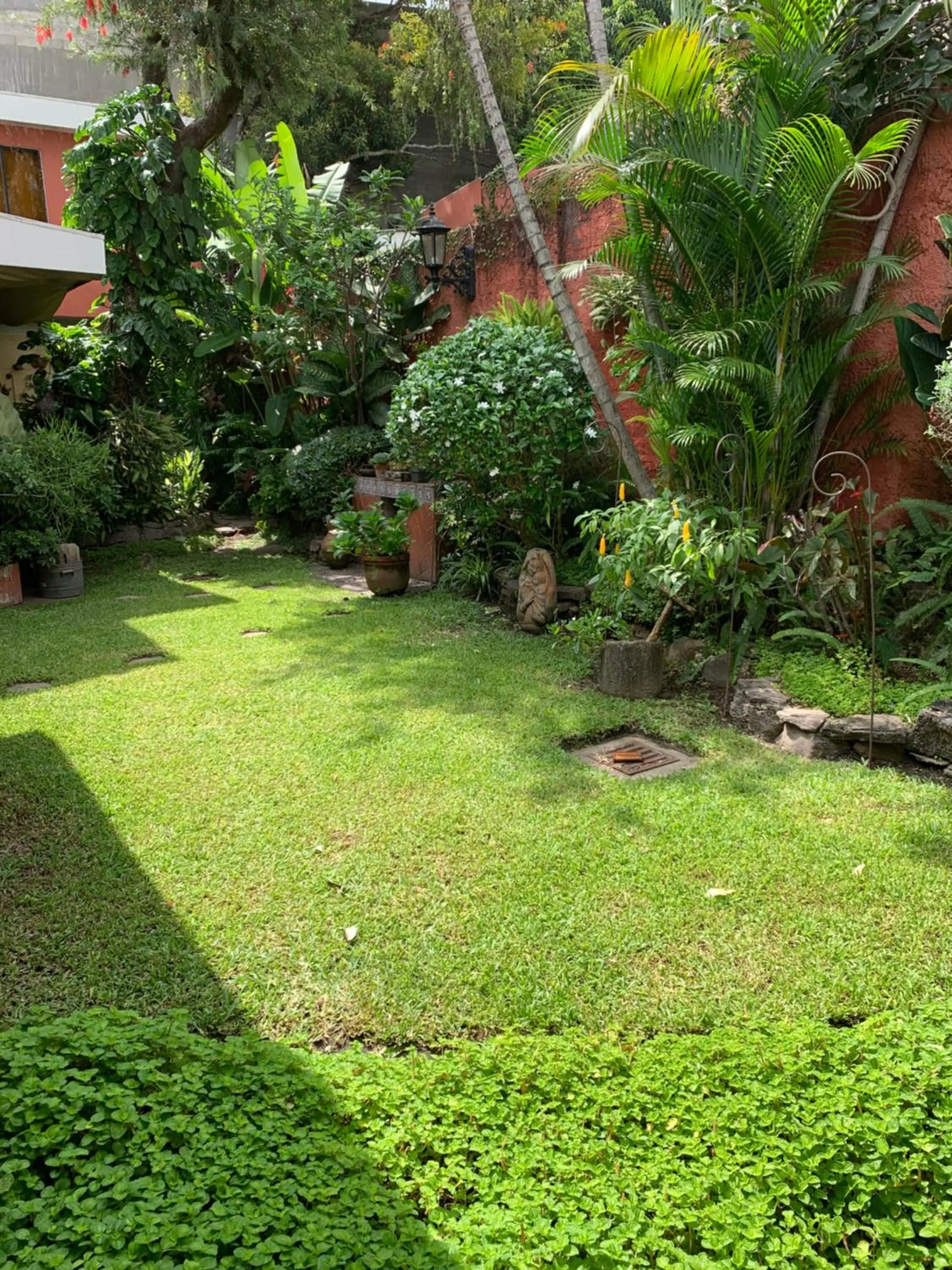 Garden in Hotel La Posada del Angel