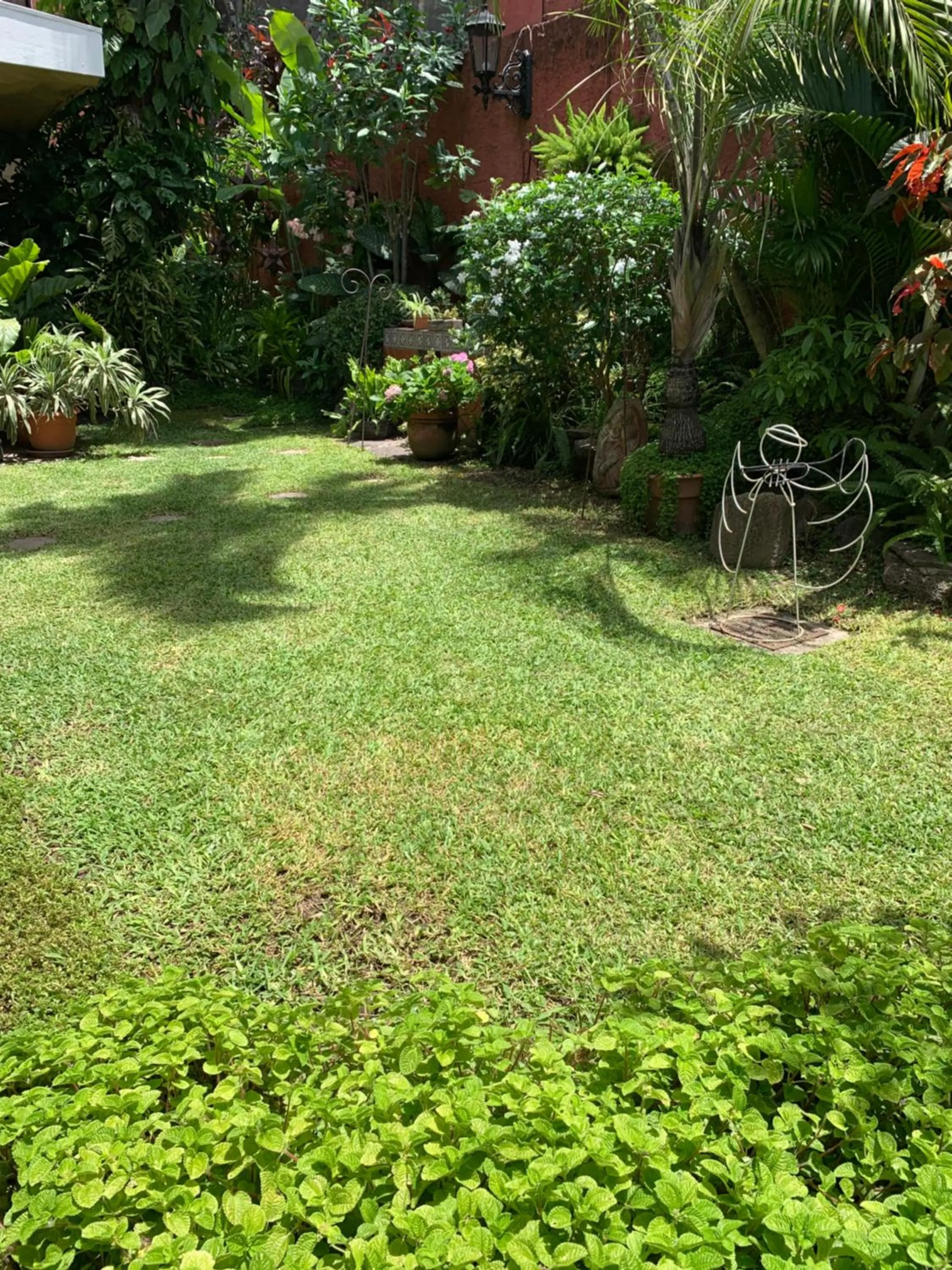 Garden in Hotel La Posada del Angel