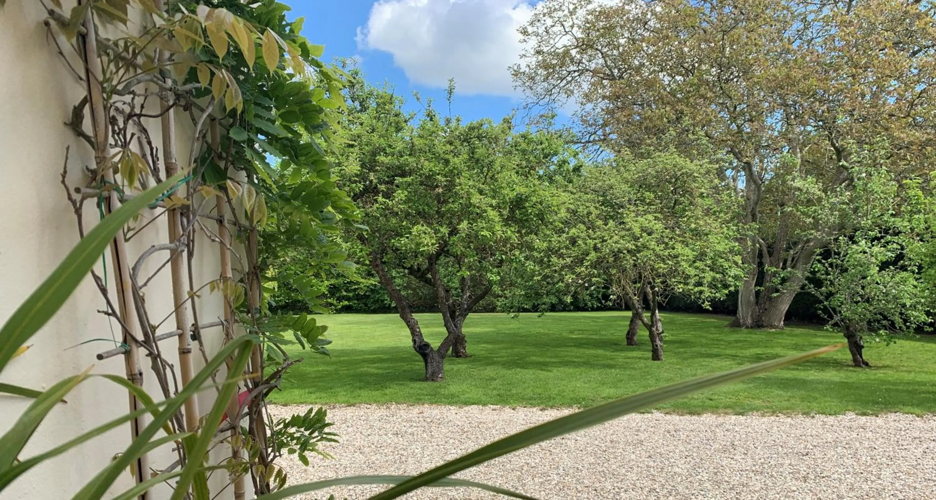 Garden in Hope Orchard En-Suite Rooms