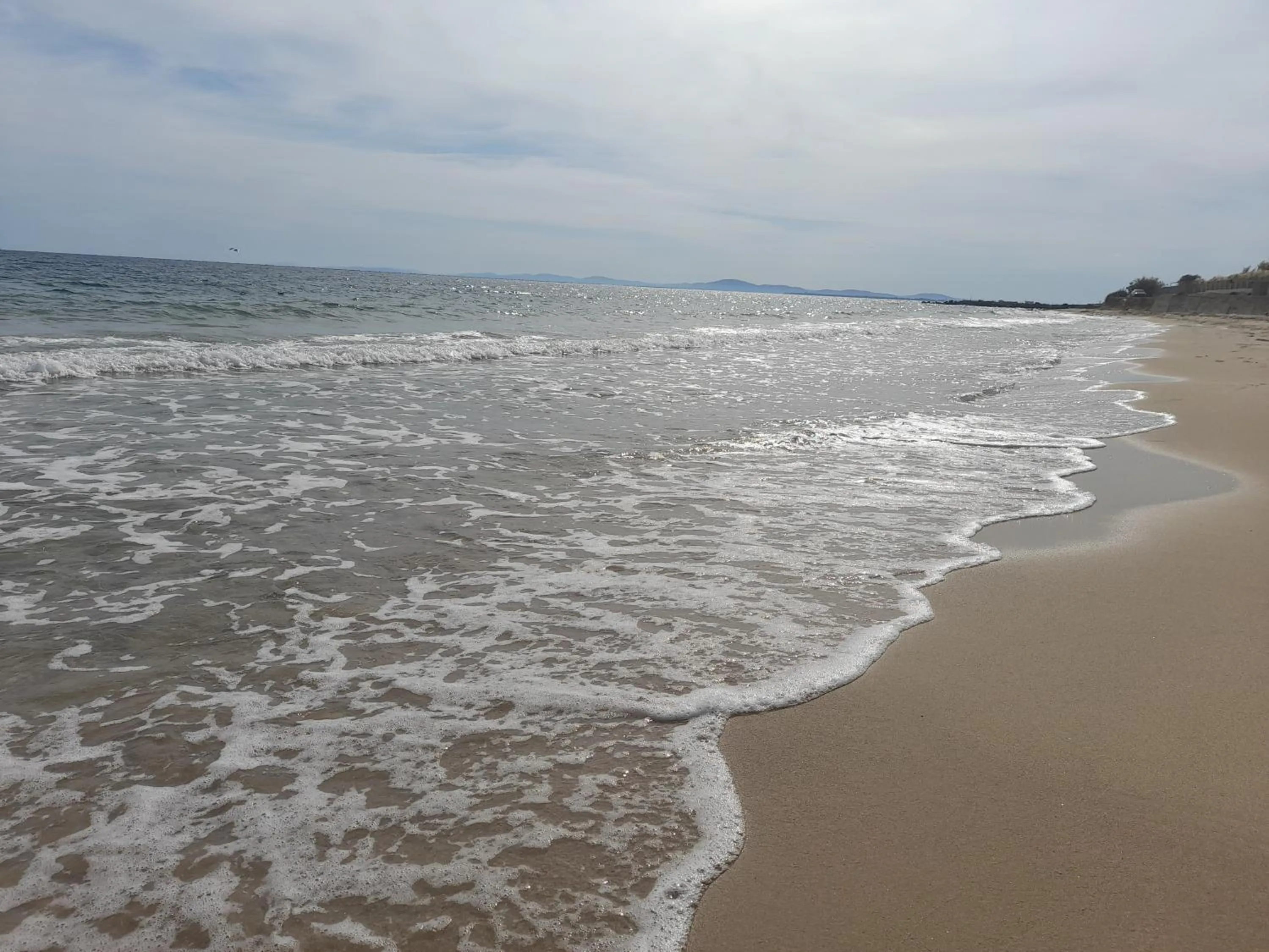 Beach in Family Hotel Saga