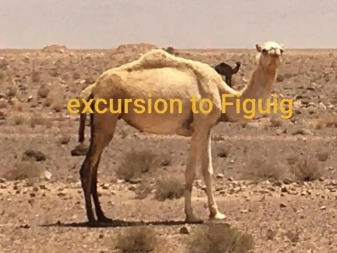 Hotel LAHLOU riad Cafeteria