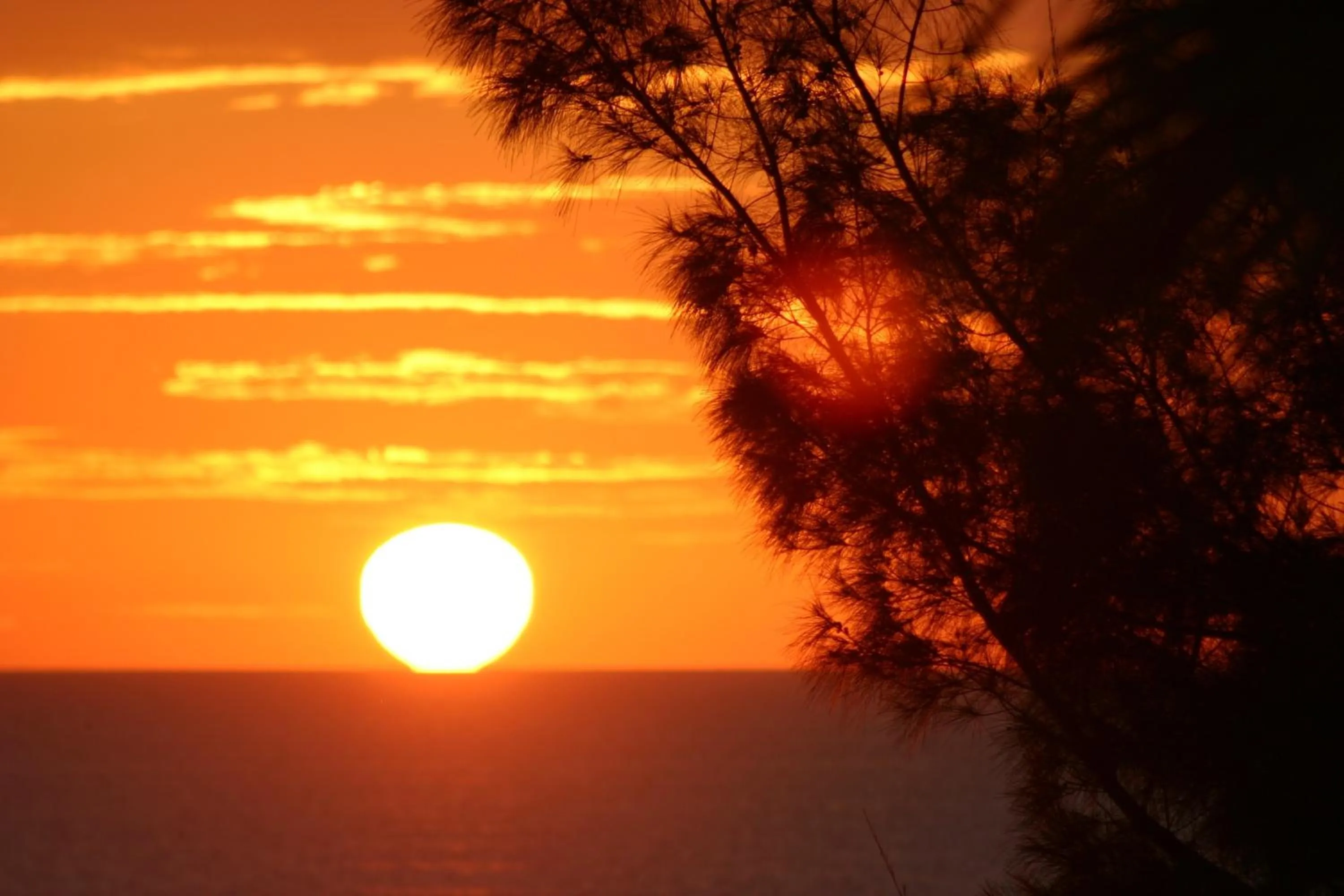Area and facilities in Silver Surf Gulf Beach Resort