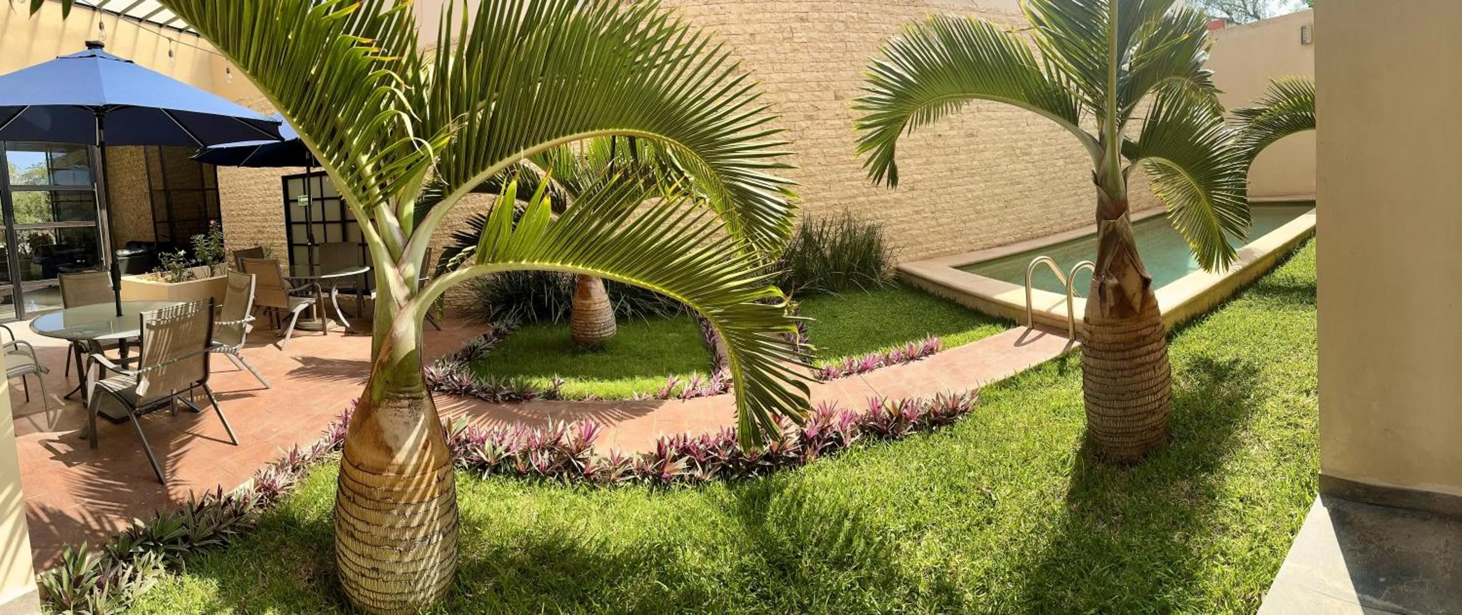 Swimming pool in Hotel Avila