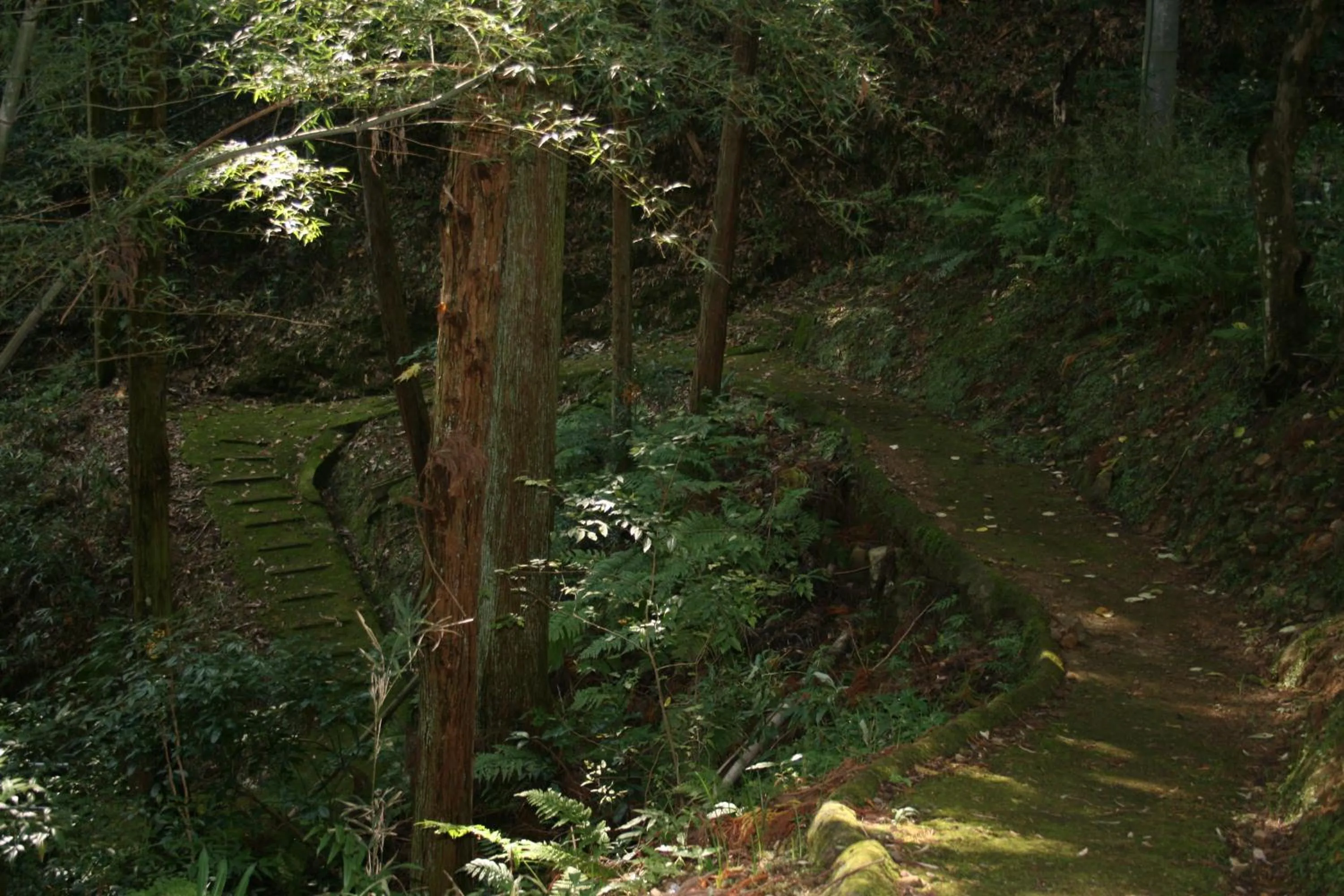 Off site in Houtouji Temple
