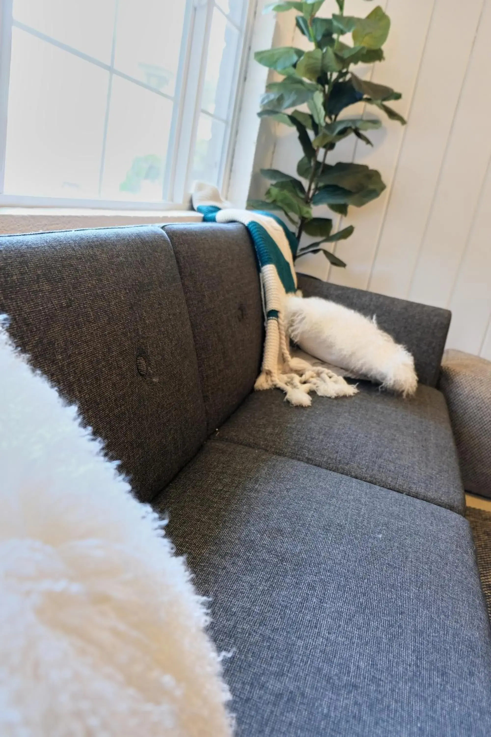 Two Bedroom Suite in Lake Front Cabins Two Bedroom Suite in Lake Front Cabins