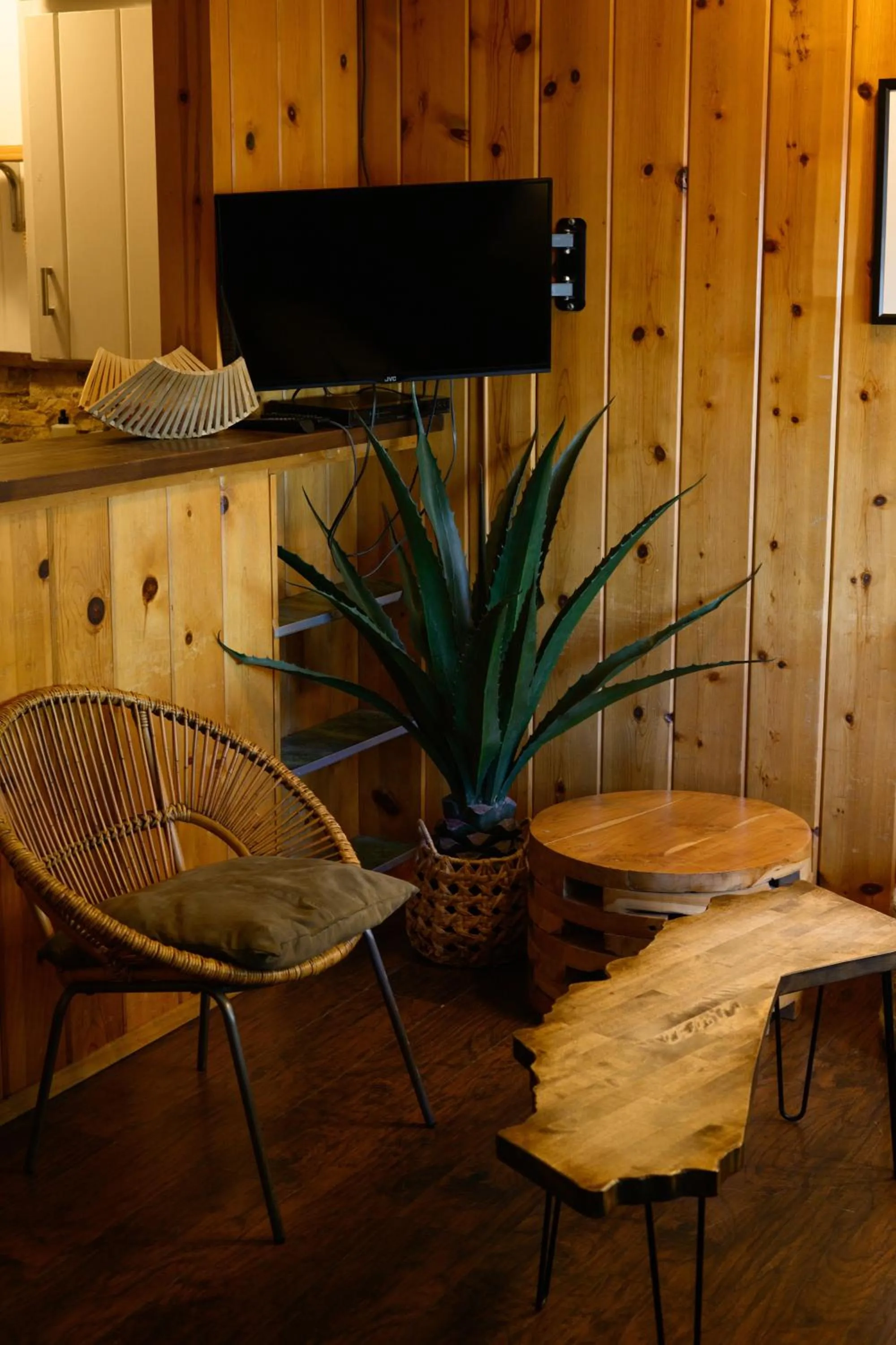 TV and multimedia in Lake Front Cabins