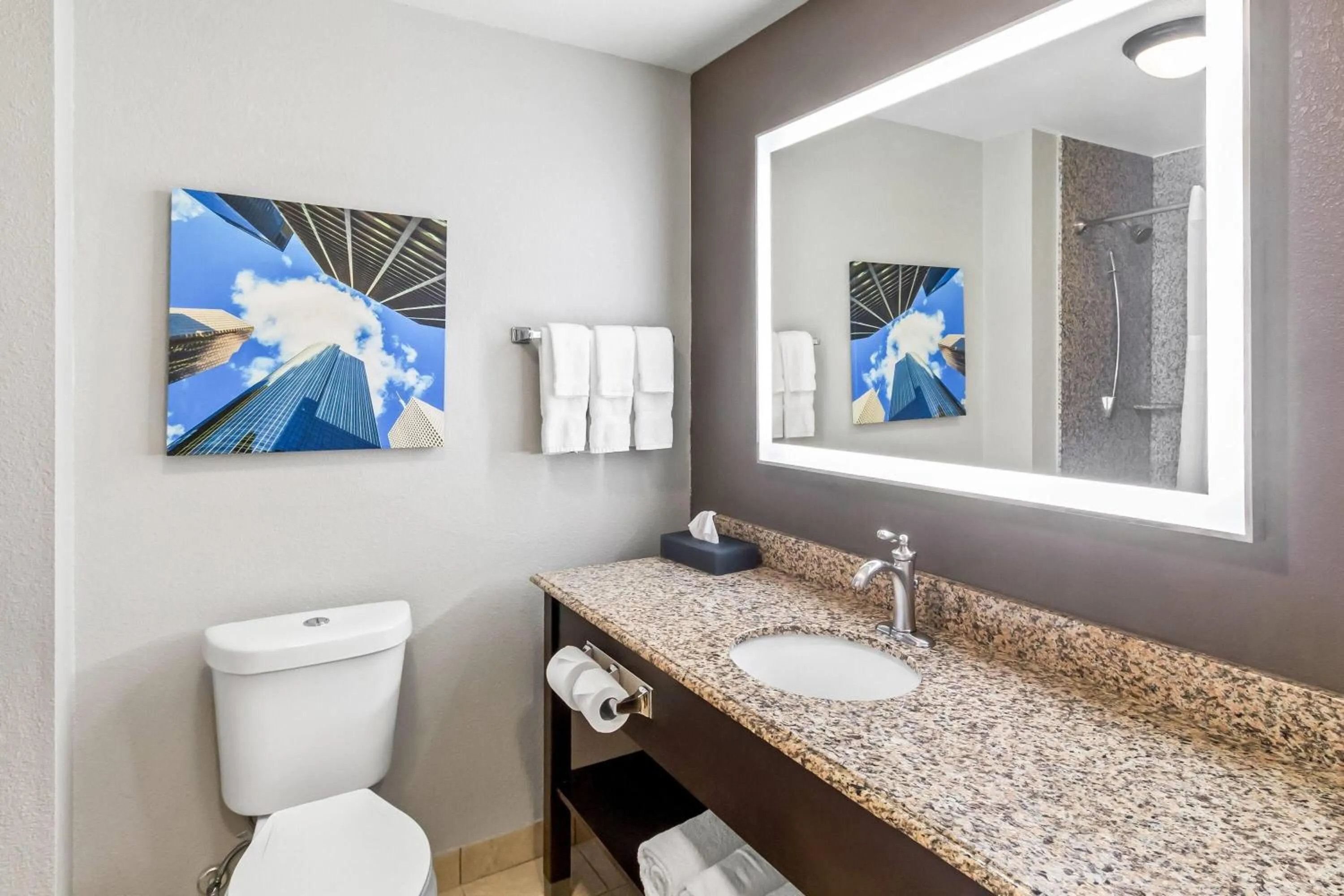 Bathroom in La Quinta by Wyndham Houston Energy Corridor