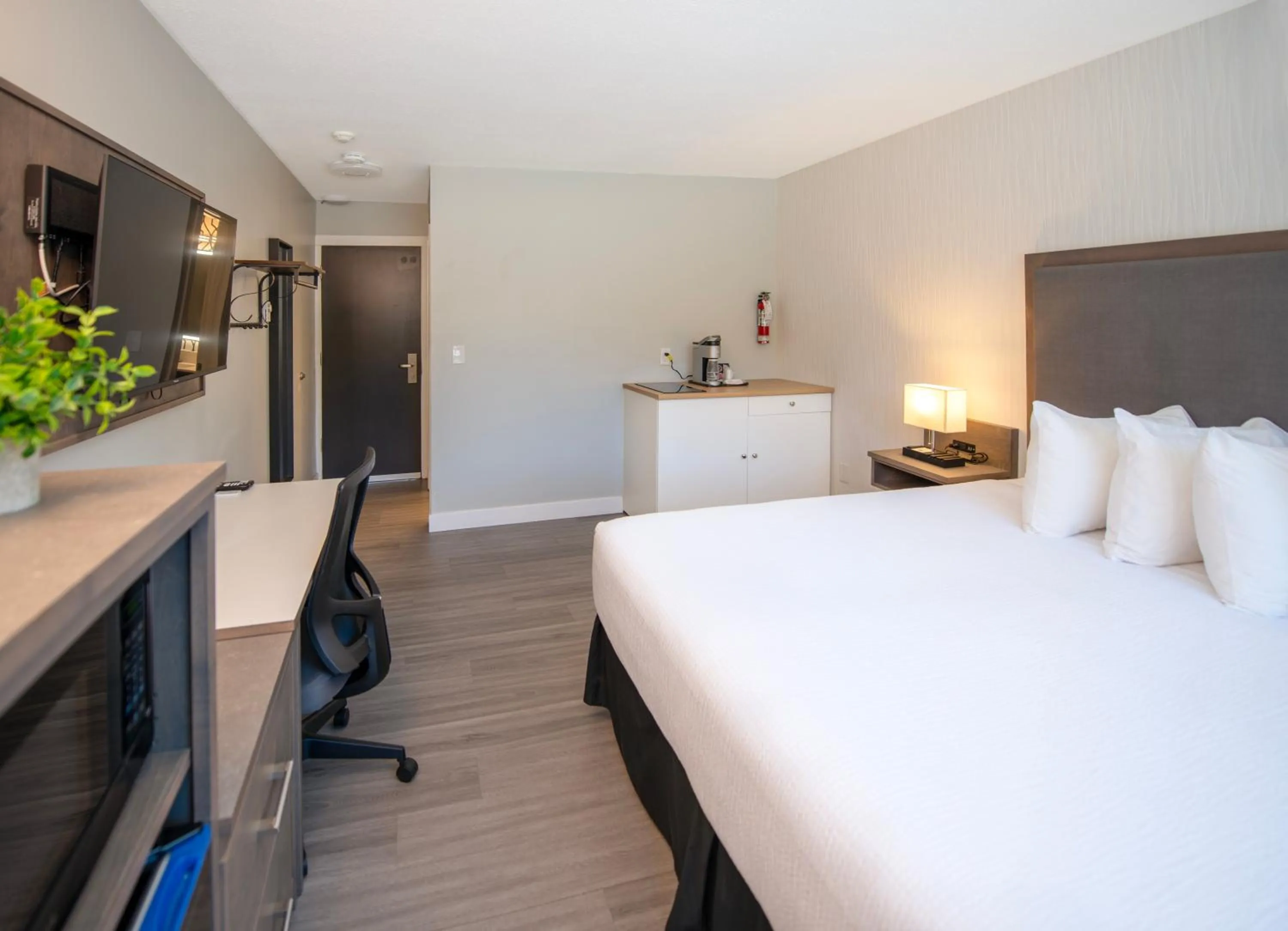 TV and multimedia, Bed in The Spot at Porpoise Bay