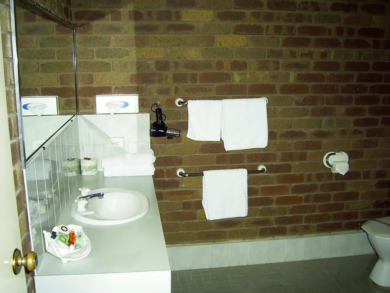 Shower in Fountain Court Motor Inn Albury