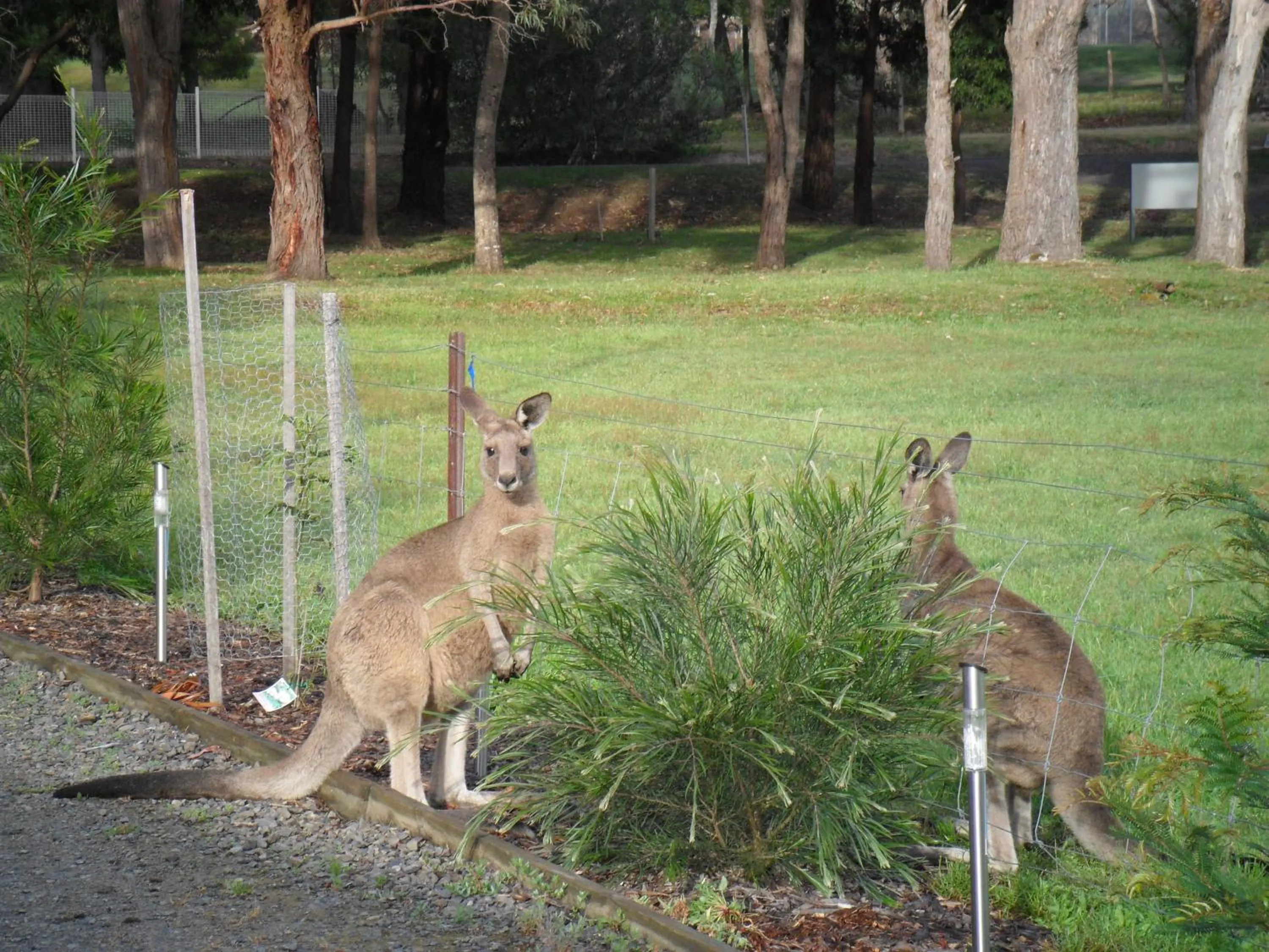Day in Grampians Chalets