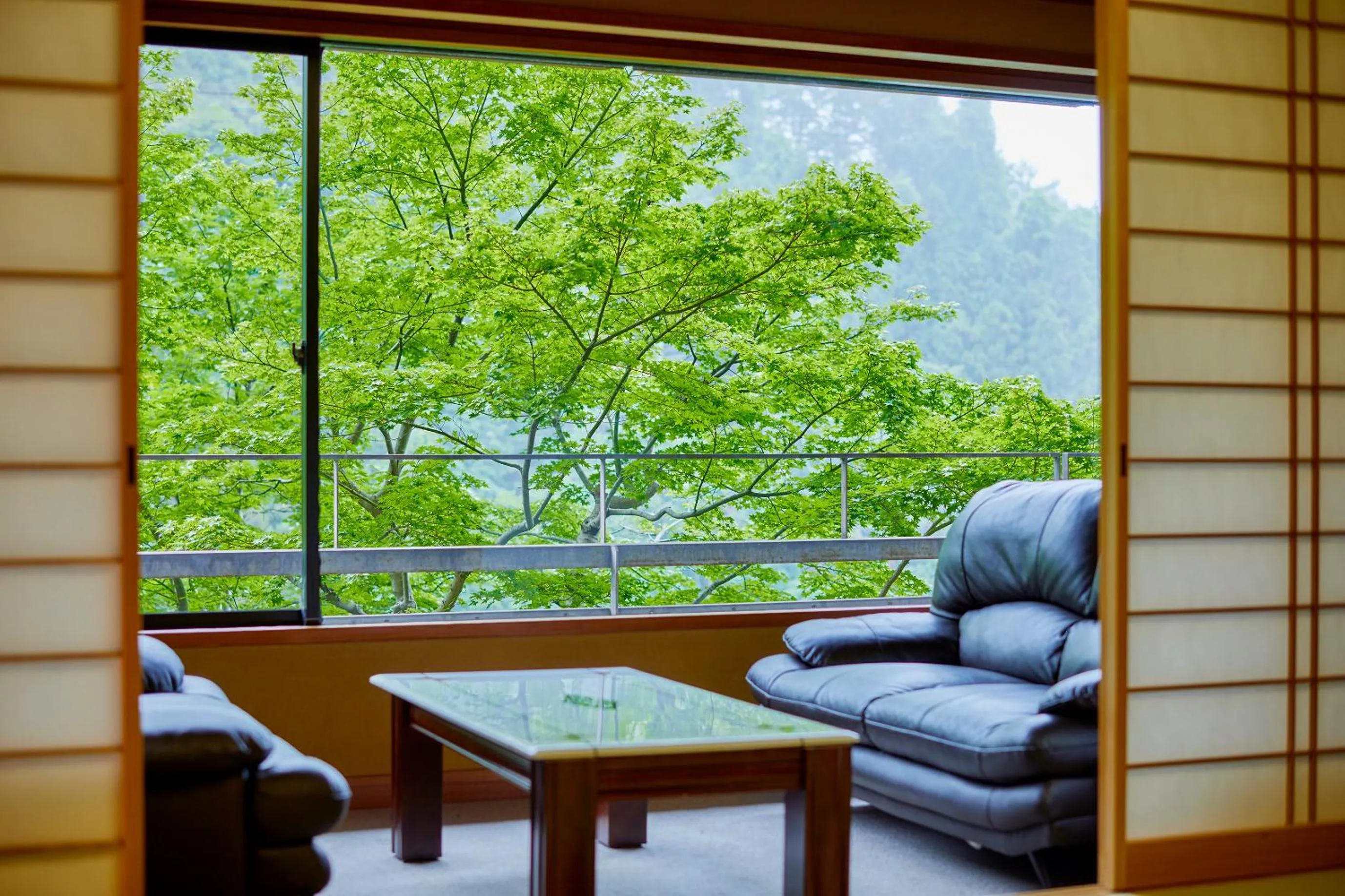 Mountain view in Fukuichi