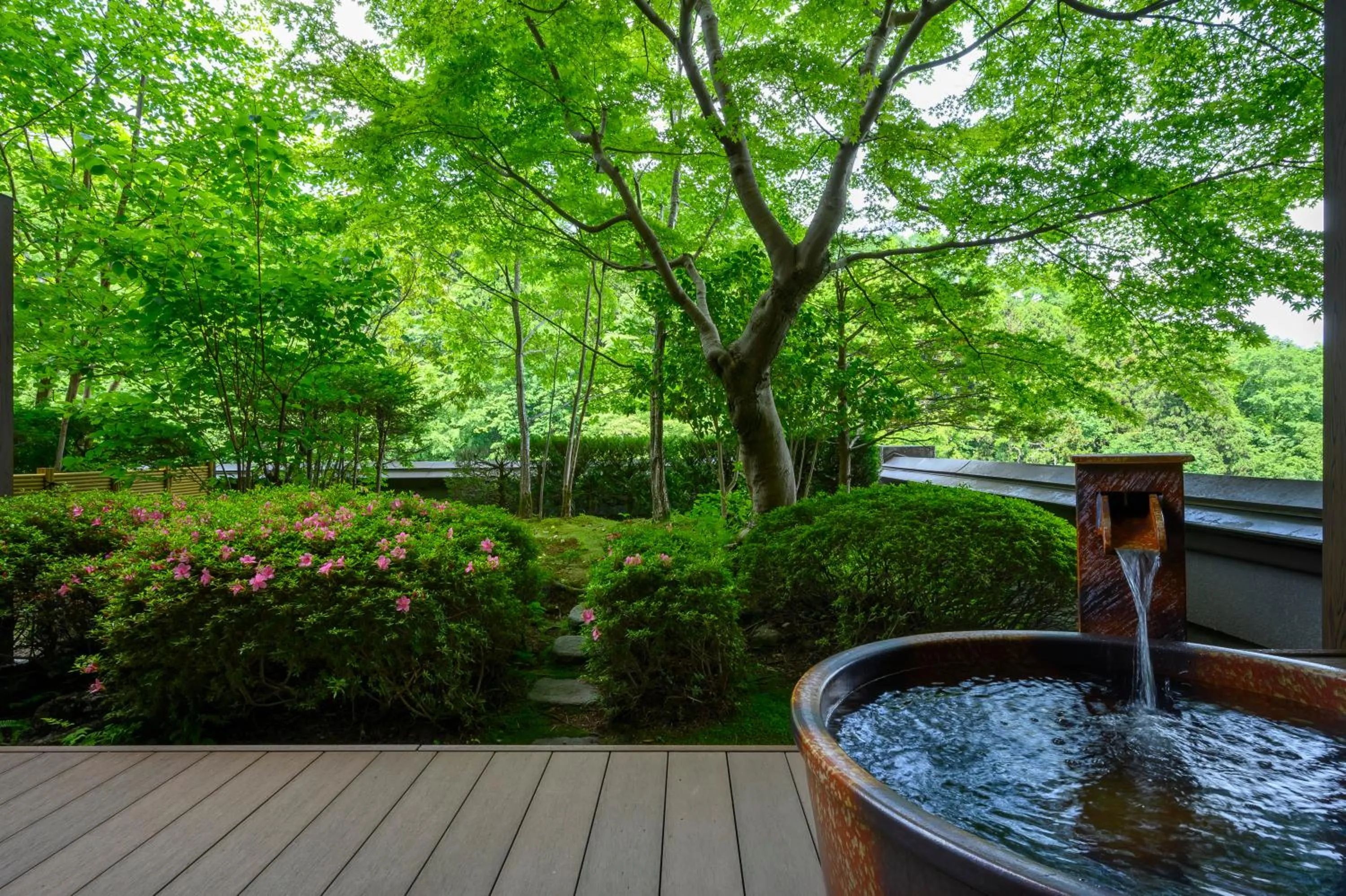 Photo of the whole room in Fukuichi