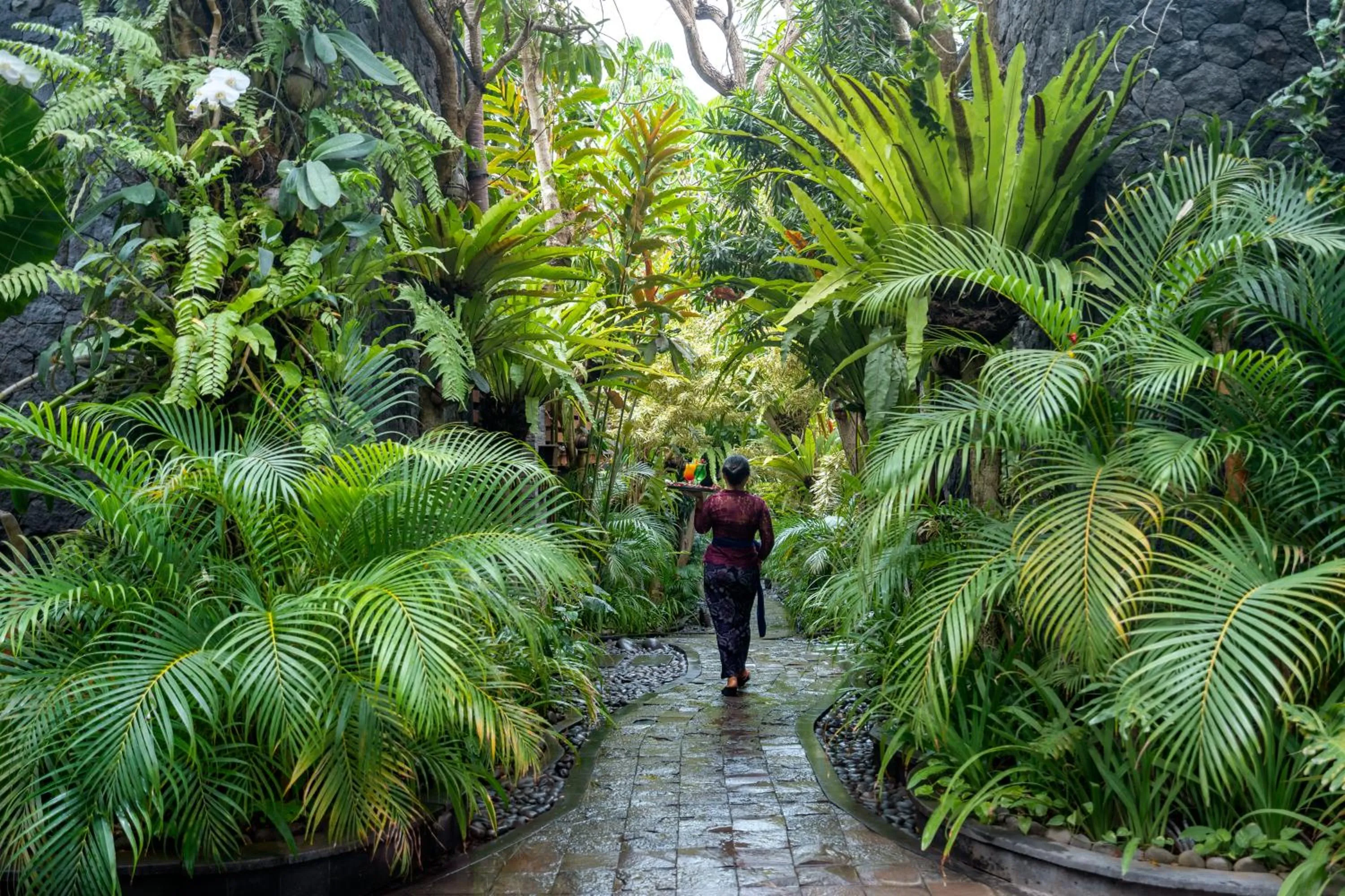 Patio in The Bali Dream Villa & Resort Echo Beach Canggu
