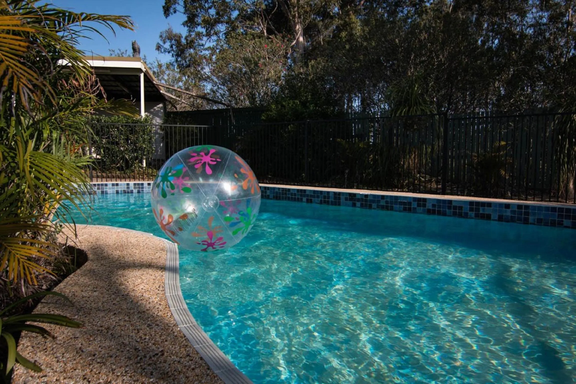 Swimming pool in Hatton Vale Motel