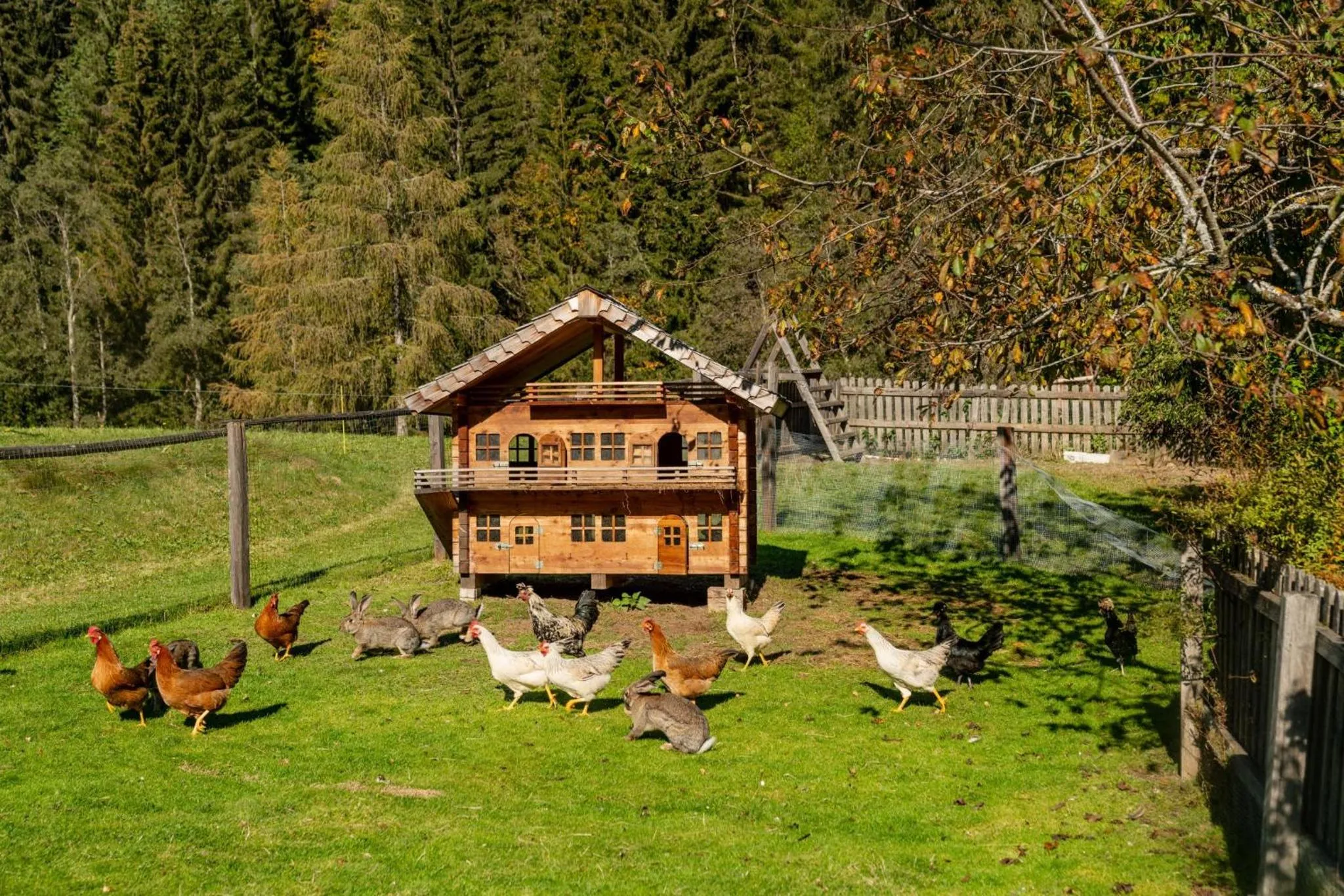 Garden in Familienhotel Unterreith
