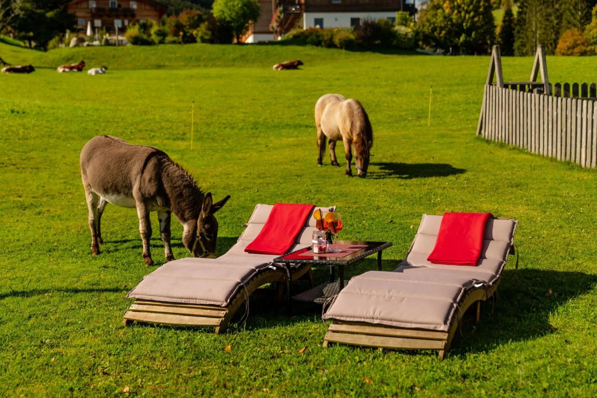 Garden in Familienhotel Unterreith