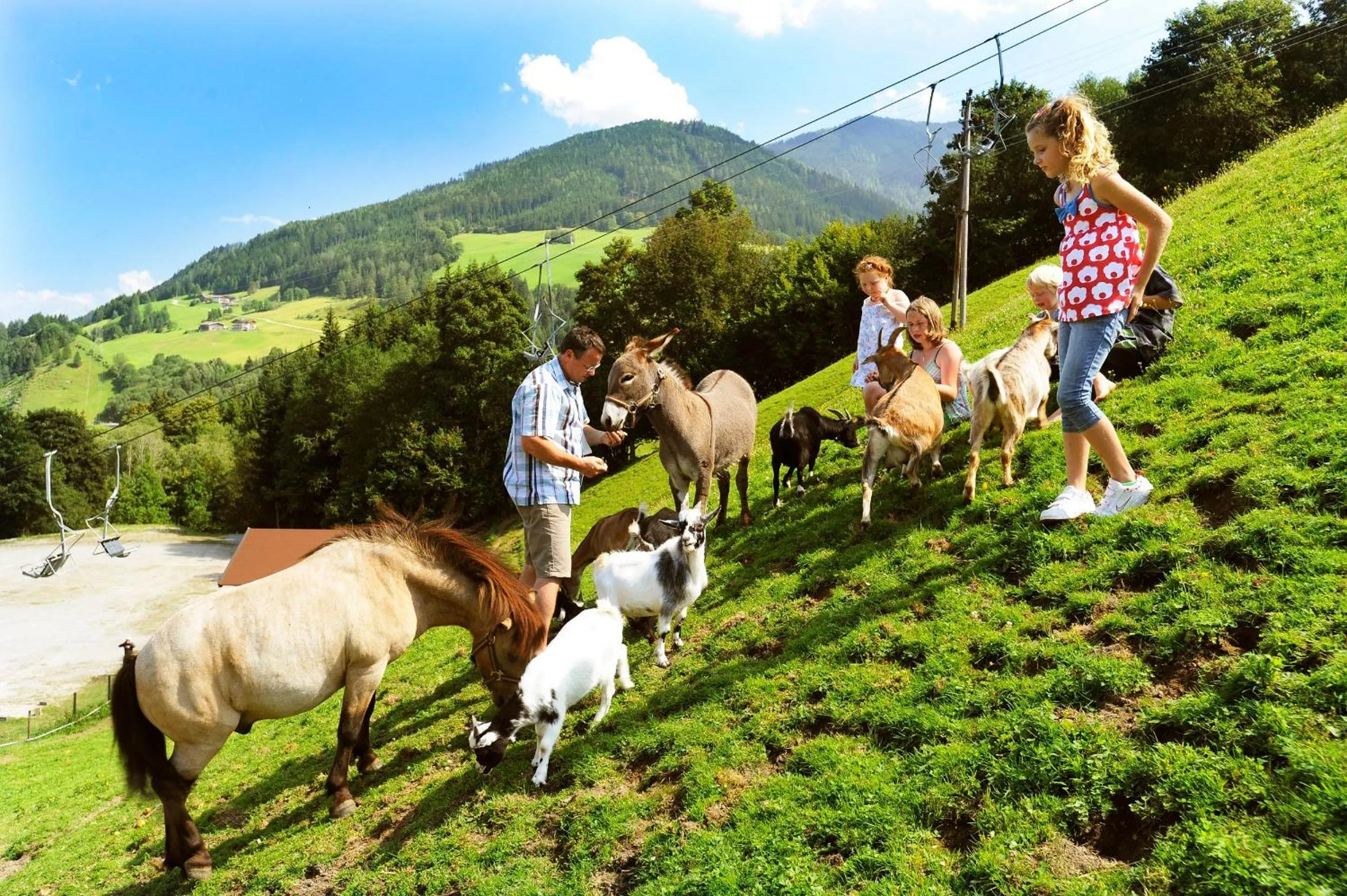 Animals in Familienhotel Unterreith