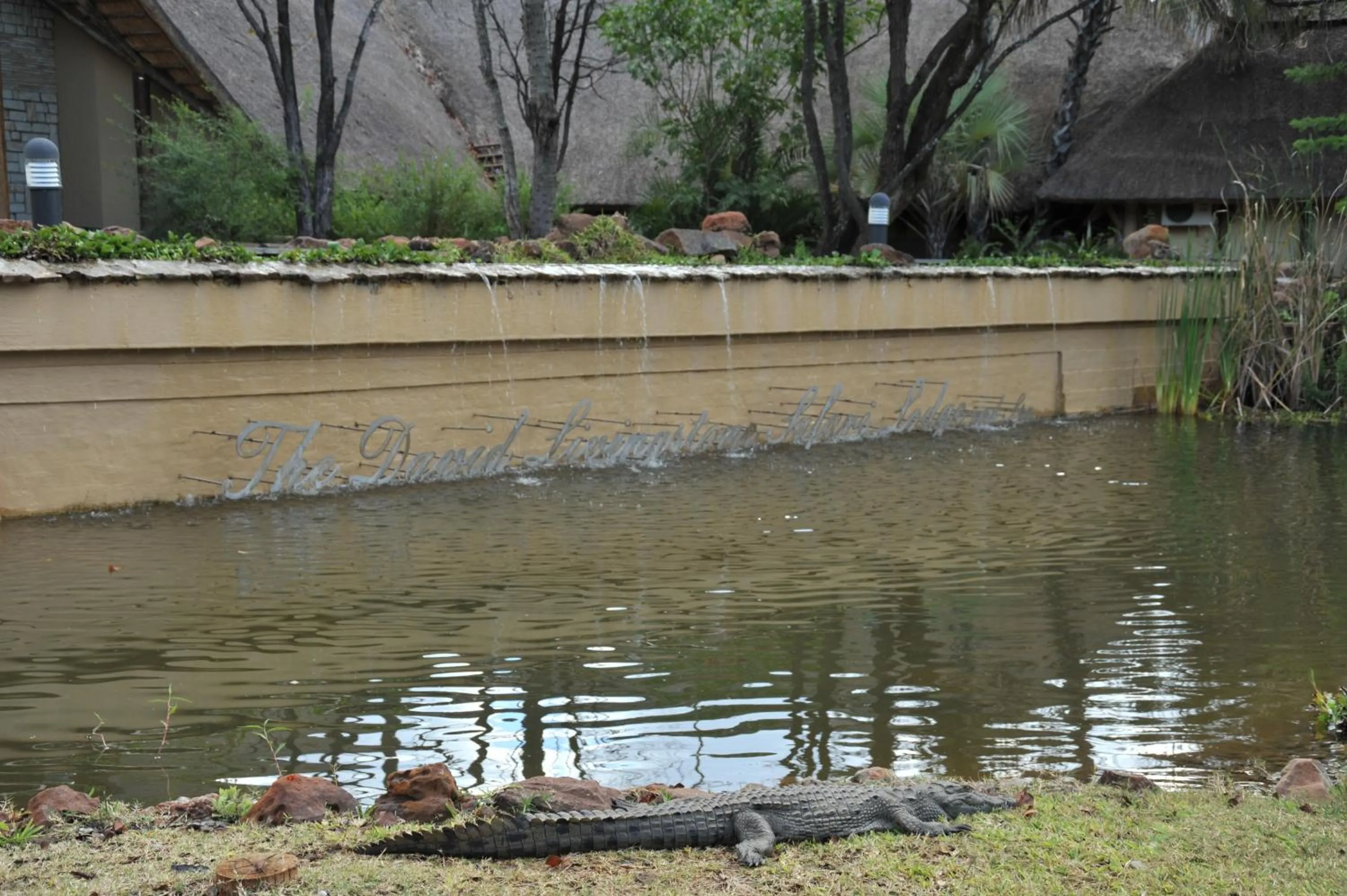 Animals in The David Livingstone Safari Lodge & Spa