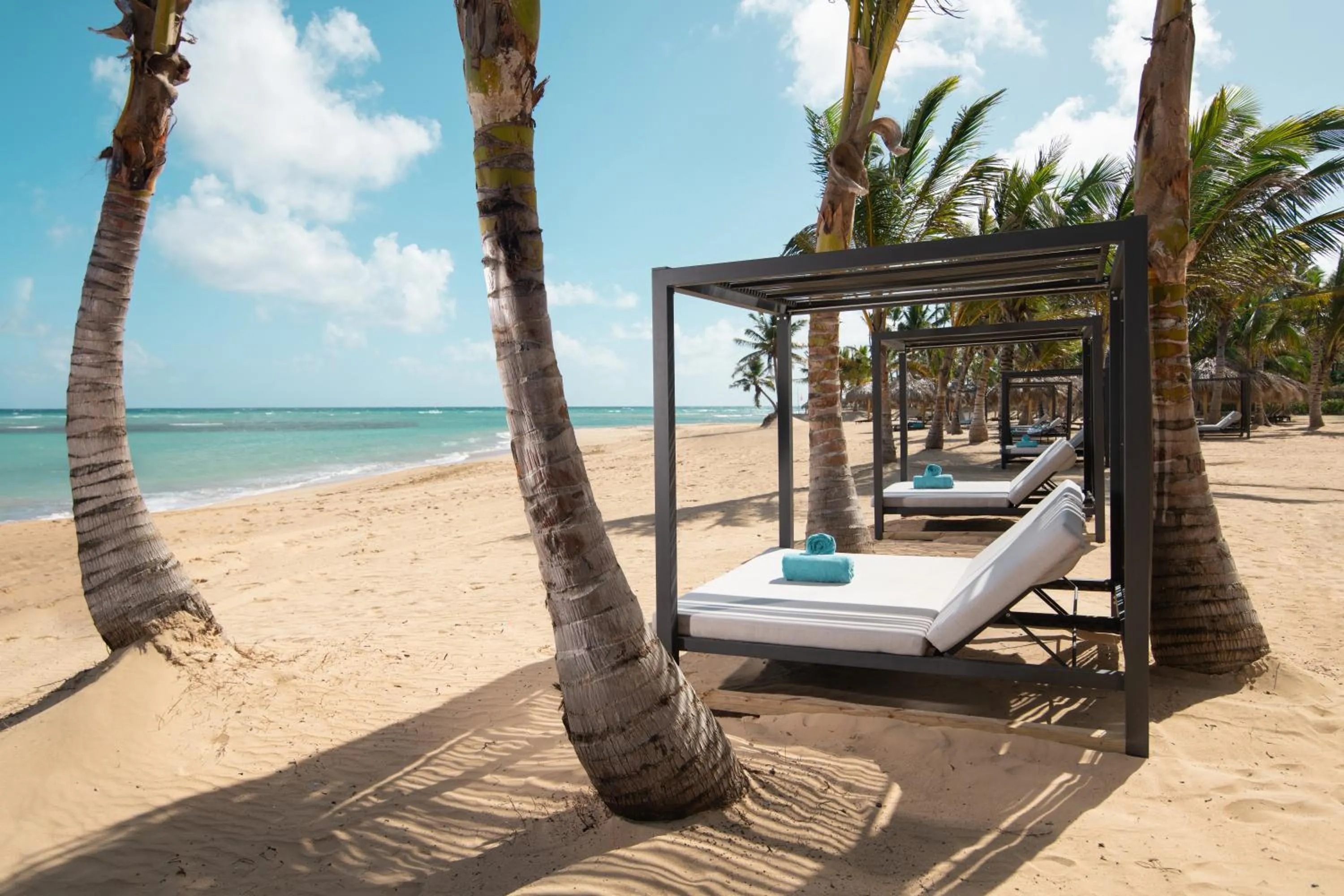 Beach in Live Aqua Punta Cana - All Inclusive - Adults Only