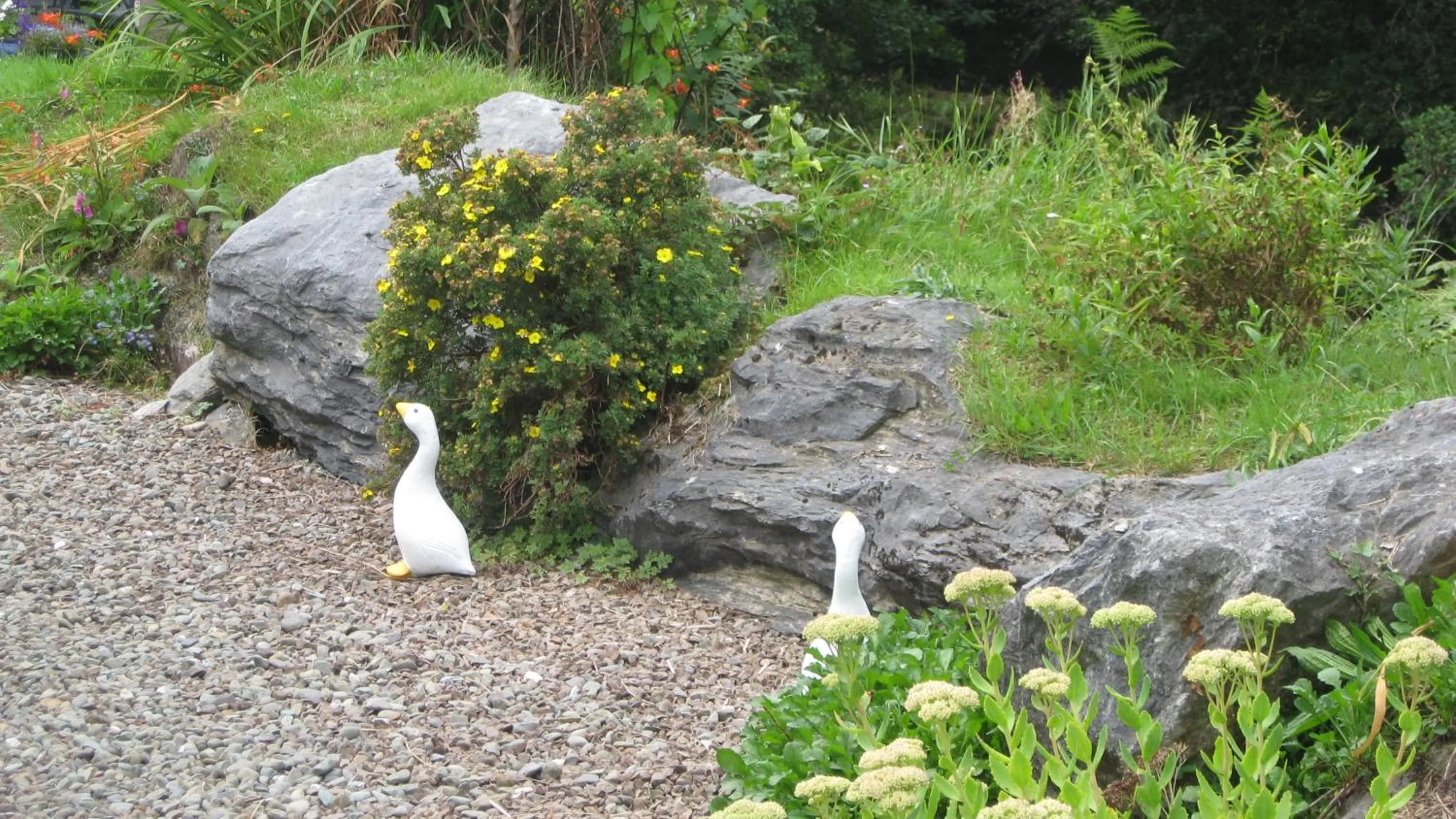 Library in An Bruachan B&B