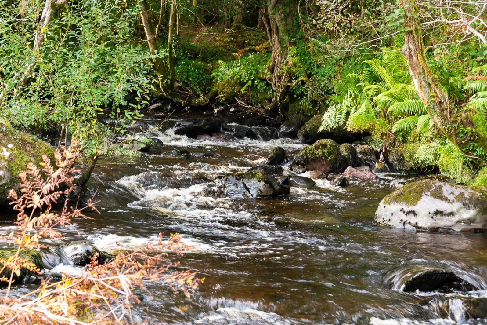 River view in An Bruachan B&B