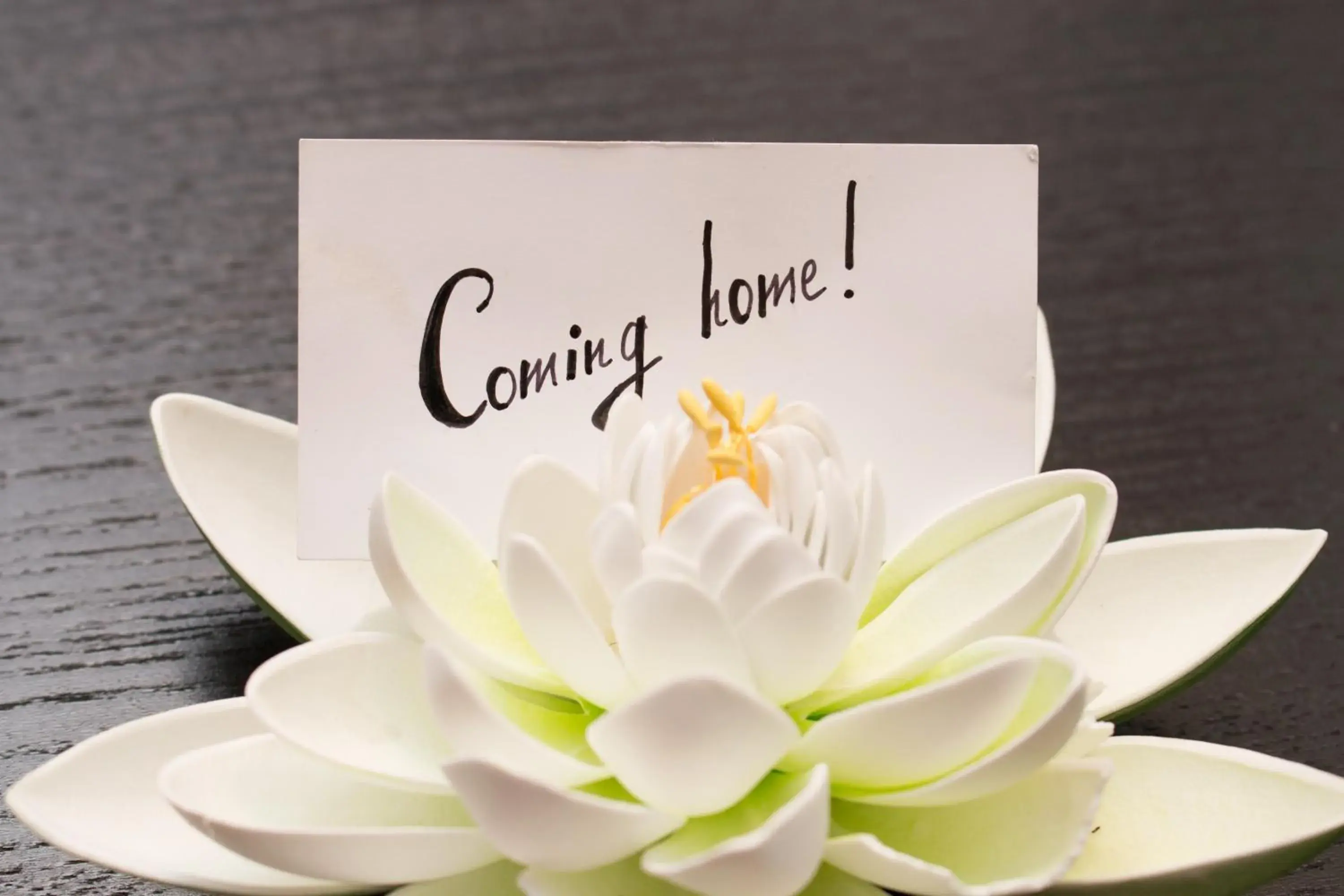 Apartment with Terrace - single occupancy in Art & Nature Apartments in der Nähe FFM-Messe Apartment with Terrace - single occupancy in Art & Nature Apartments in der Nähe FFM-Messe