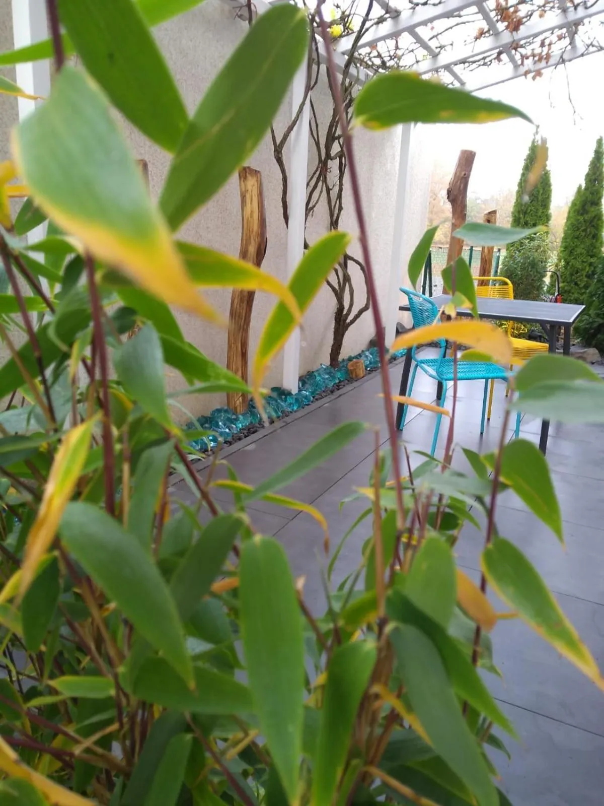 Garden view in Art & Nature Apartments in der Nähe FFM-Messe