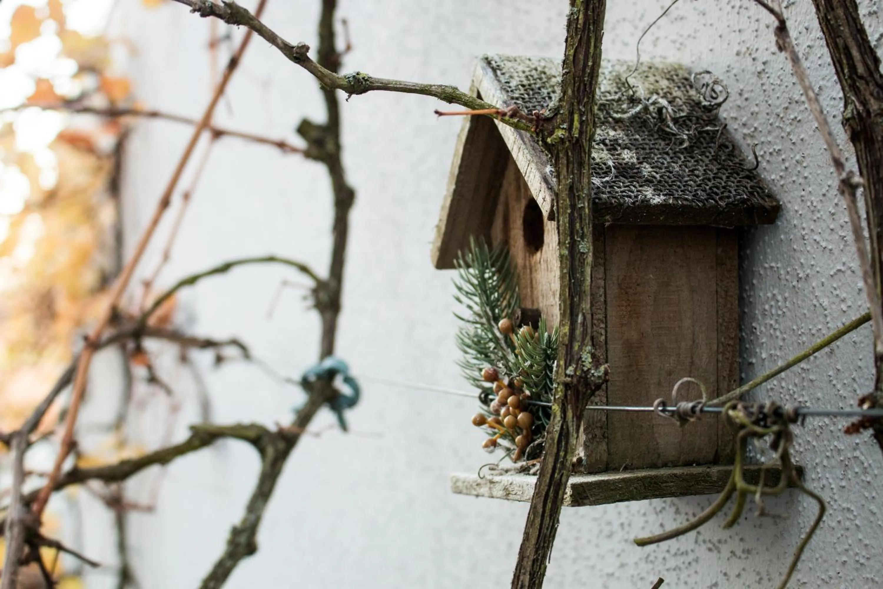 Property building in Art & Nature Apartments in der Nähe FFM-Messe