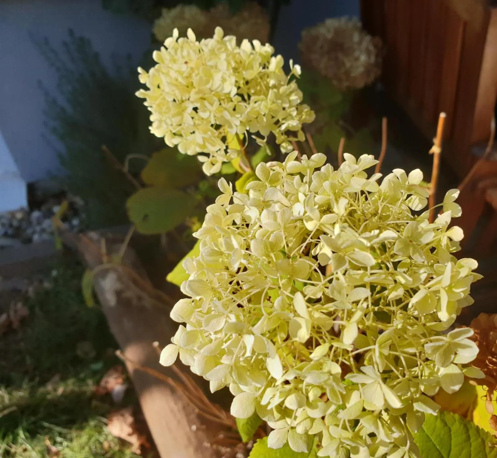 Property building in Art & Nature Apartments in der Nähe FFM-Messe